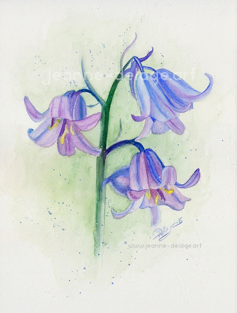 This flower painting is done in watercolors. It is a traditional handmade artwork and the bluebells depicted are intended to create a peaceful mood with soft blue and pink colours.