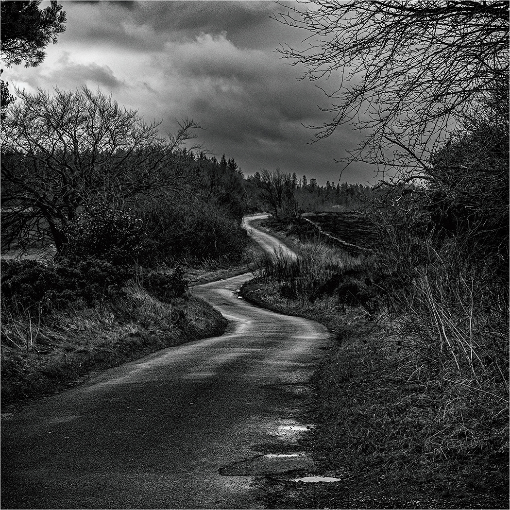 The Winding Road by Paul Cooper