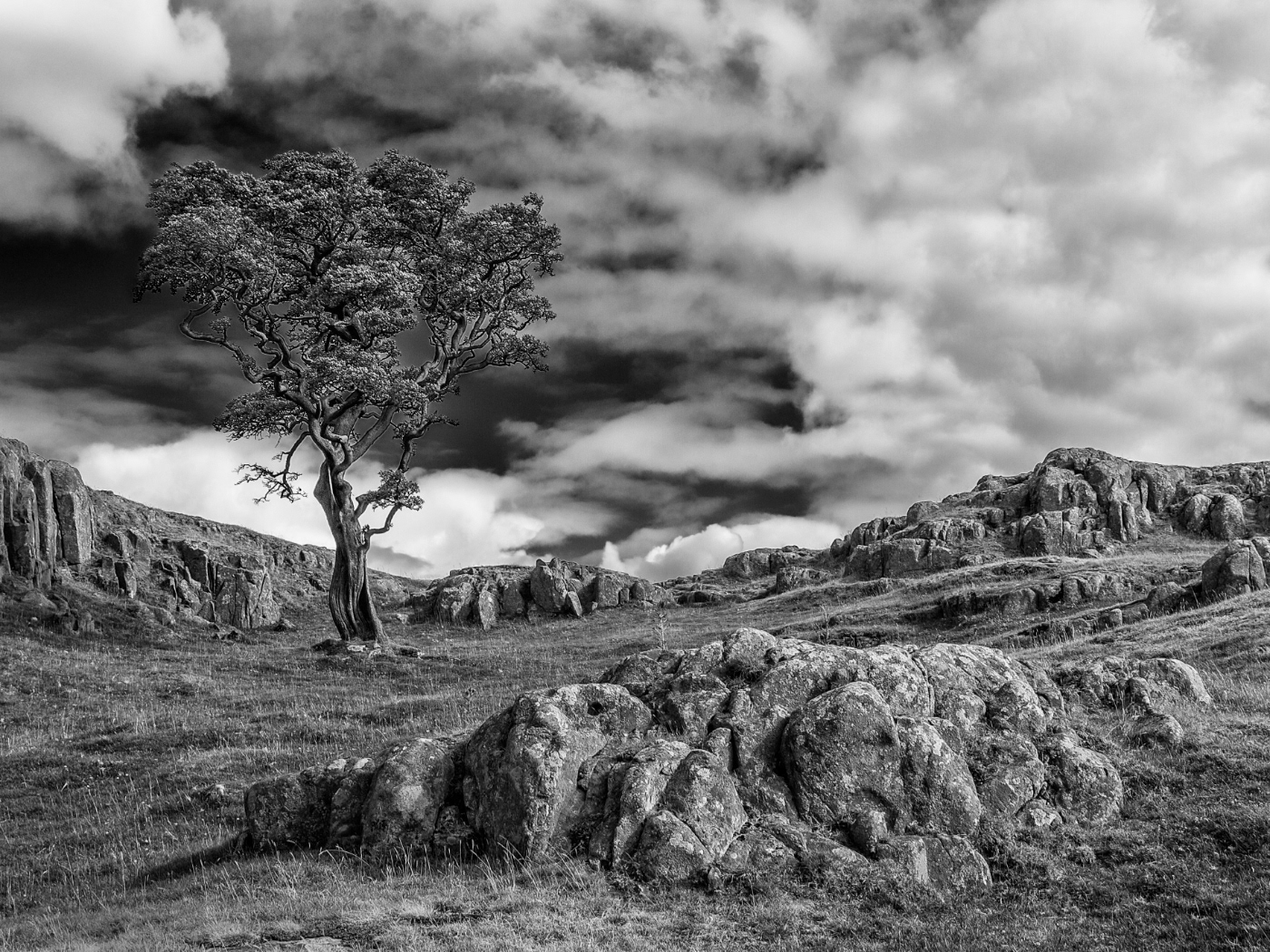 On Hadrians Wall by Howard Fisher CPAGB