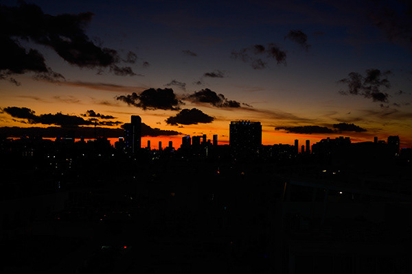 Miami Sunset