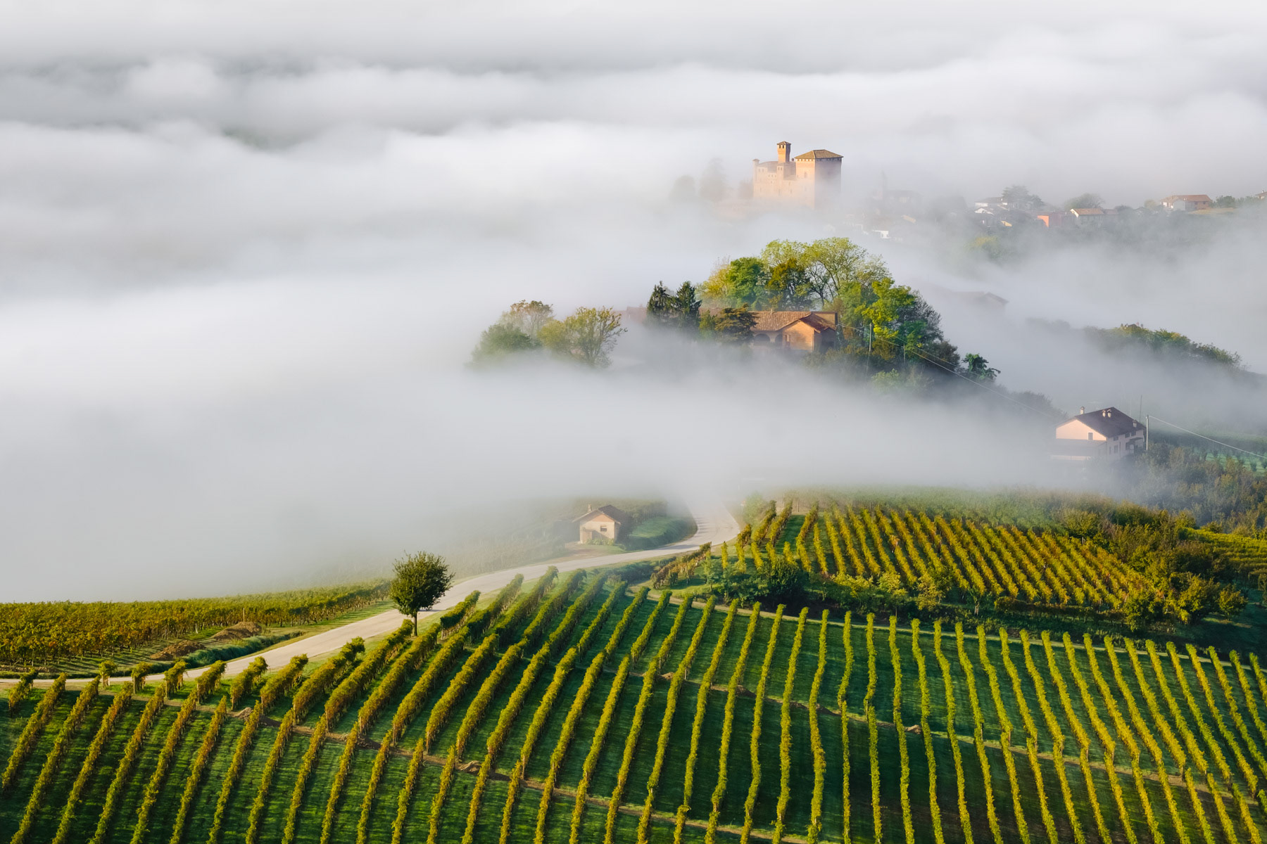 AUTUMN MORNING | Grinzane Cavour, Langhe - Italy