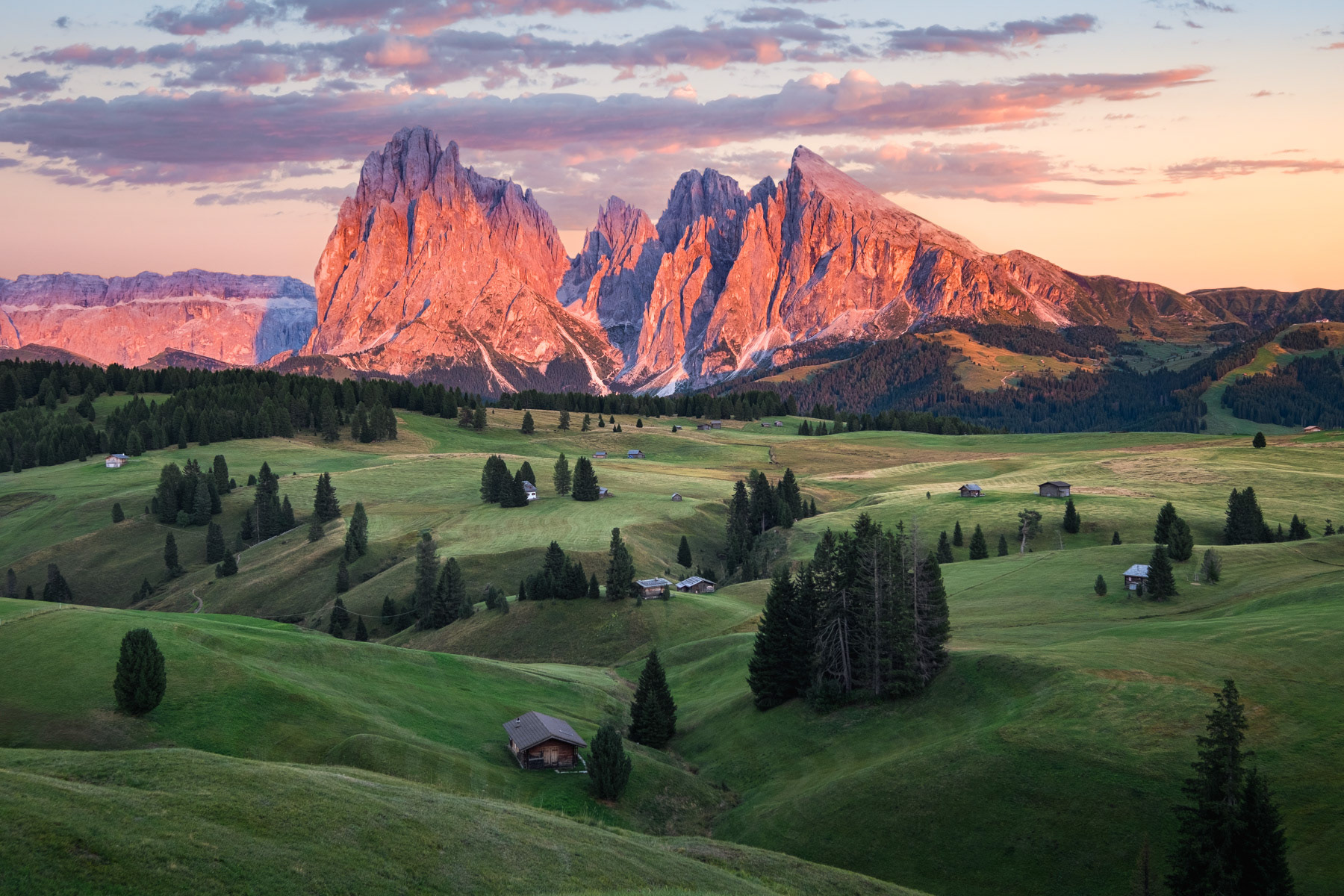 SUMMER FAIRYTALE | Seiser Alm, Dolomites - Italy