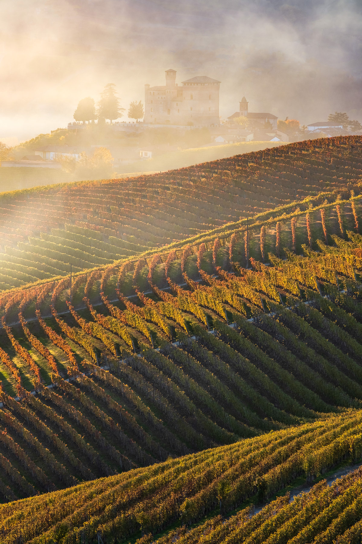 GOLDEN AUTUMN | Grinzane Cavour, Langhe - Italy