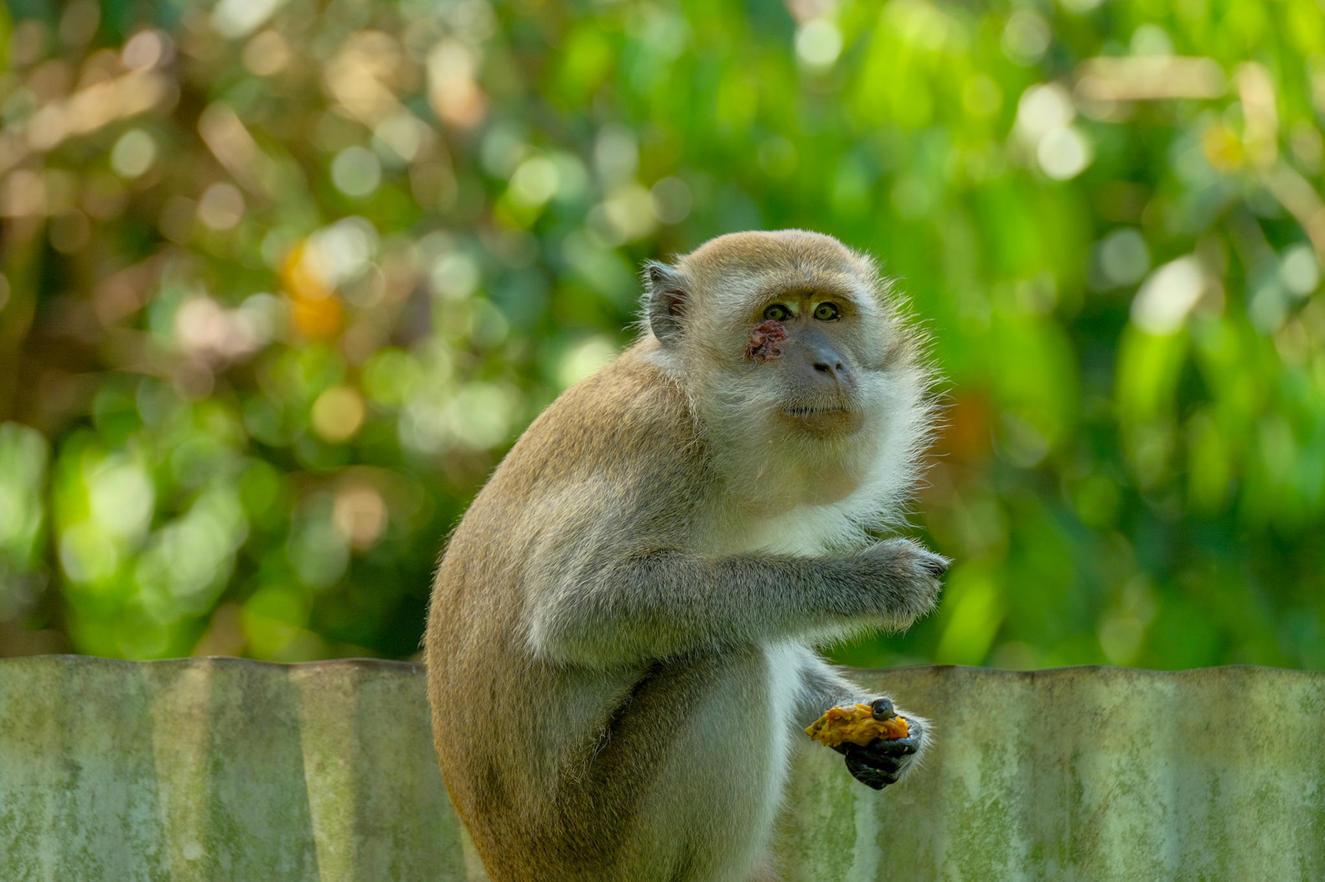 ©yasobrowne Just lovely