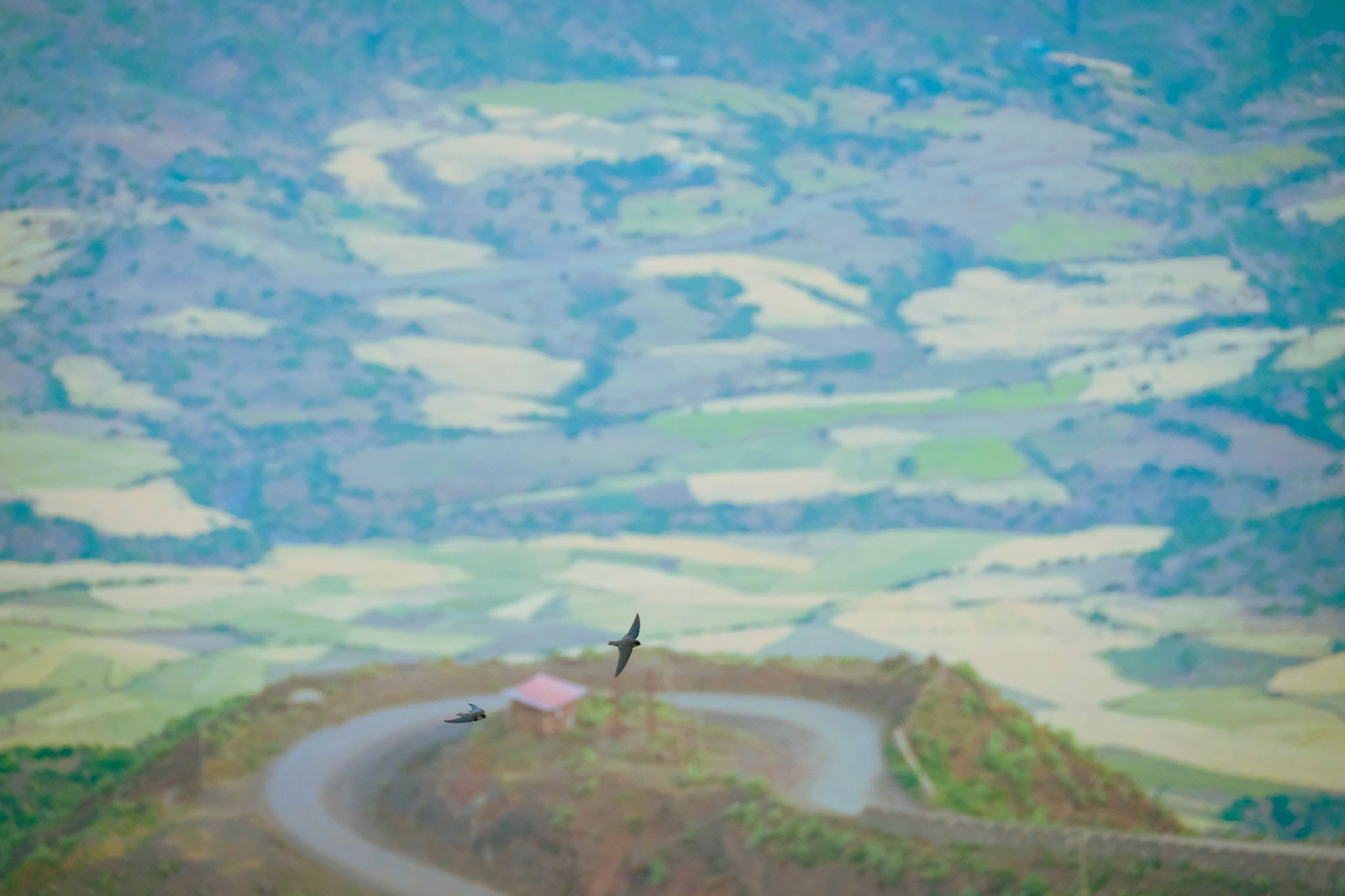 ©yasobrowne The things that make a home.