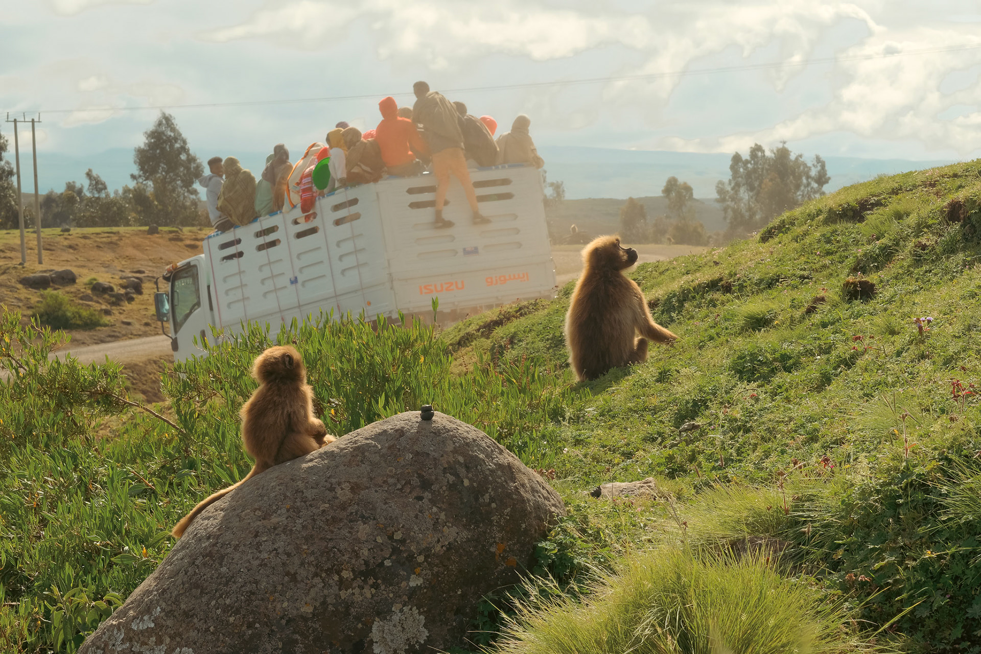 ©yasobrowne conflict