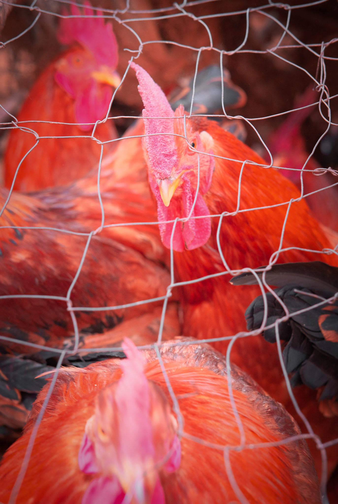 ©yasobrowne Fate awaiting