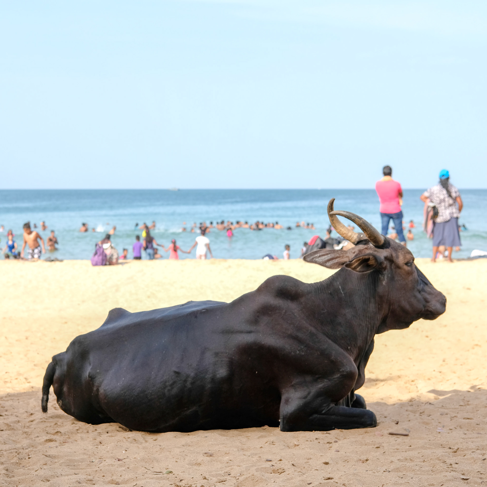 ©yasobrowne Always felt that perhaps someone with Sri Lankan origins going to Sri Lanka would take different photos to people that are also foreign but without any association to the culture or race. 