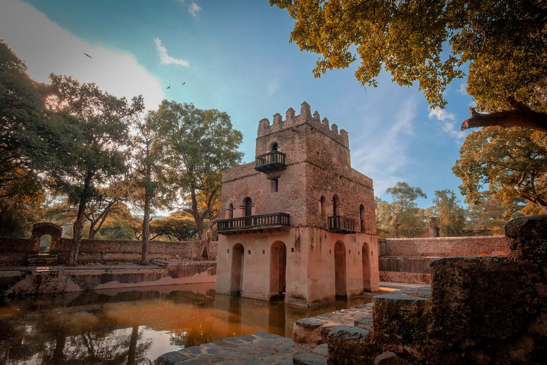 ©yasobrowne Where I saw an eygptian goose and kingfisher