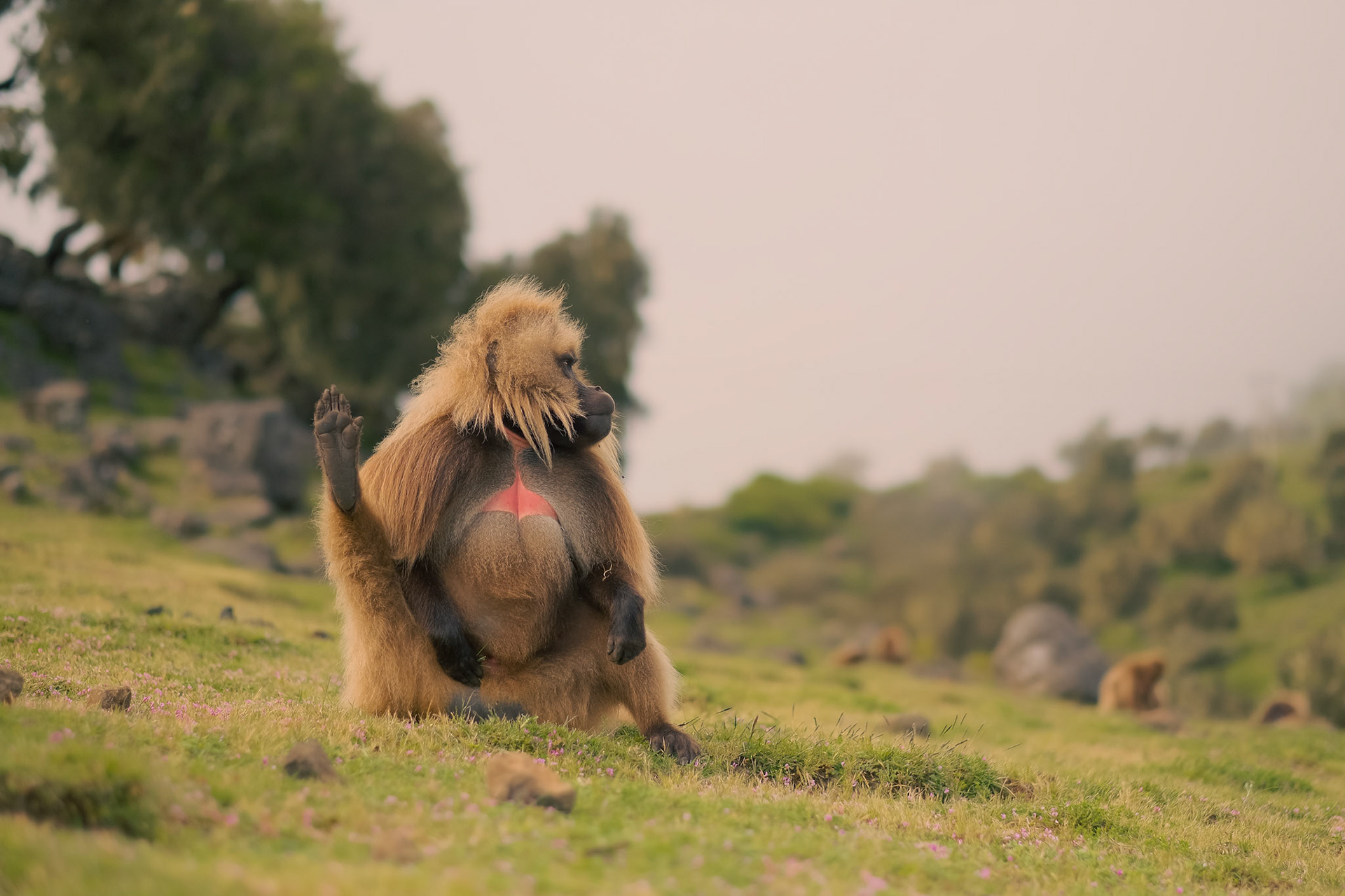 ©yasobrowne I just like the pose. 