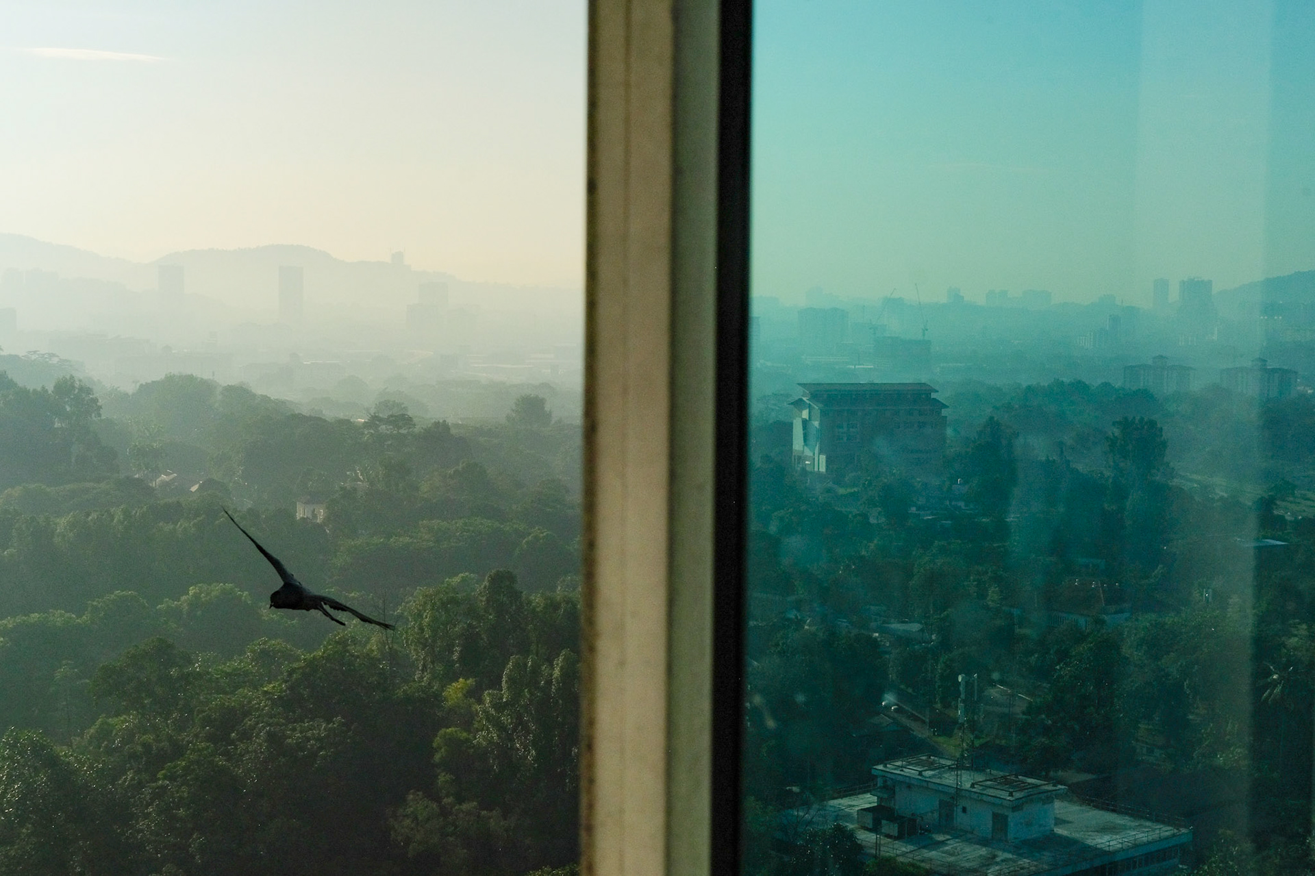 ©yasobrowne divides