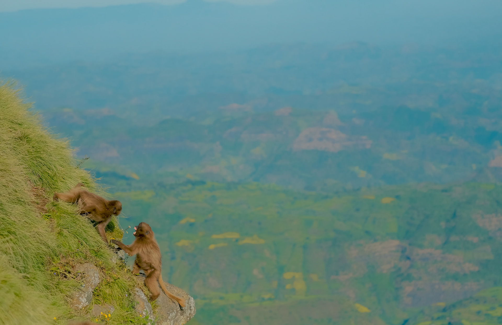 ©yasobrowne Mimicking expression can help form empathy