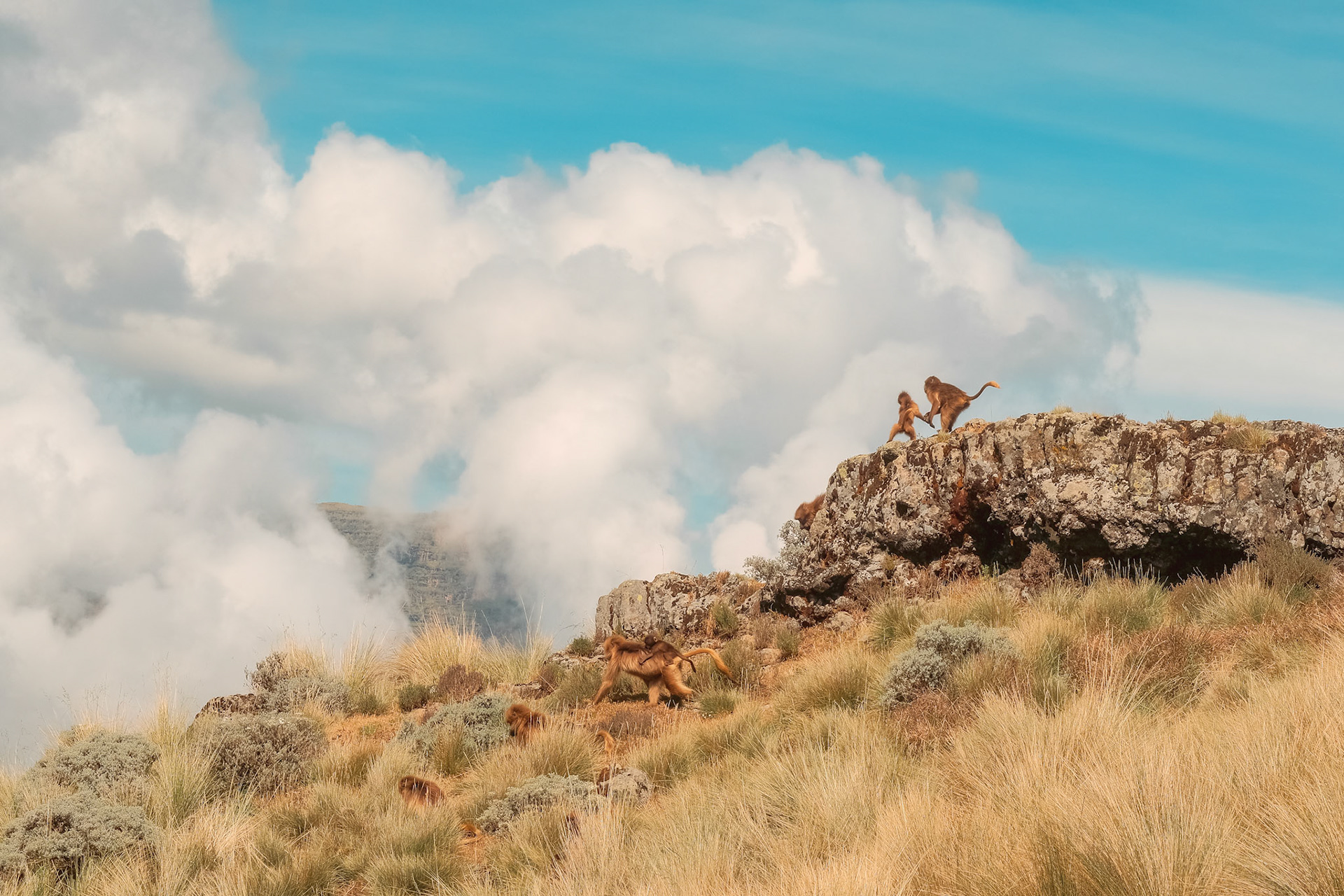 ©yasobrowne We're free to do what we want any old time.