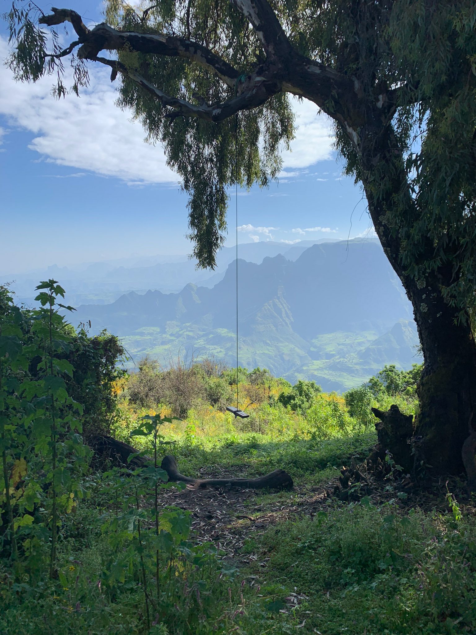 ©yasobrowne Best swing.