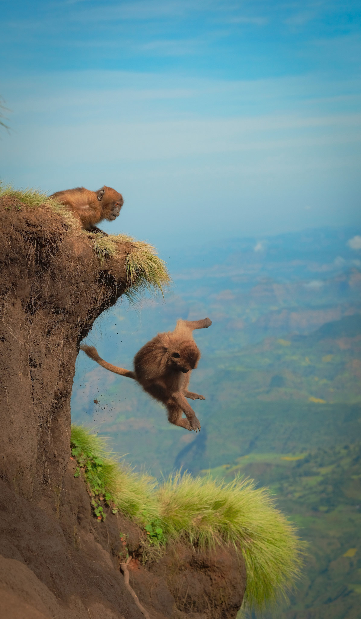 ©yasobrowne falling through play