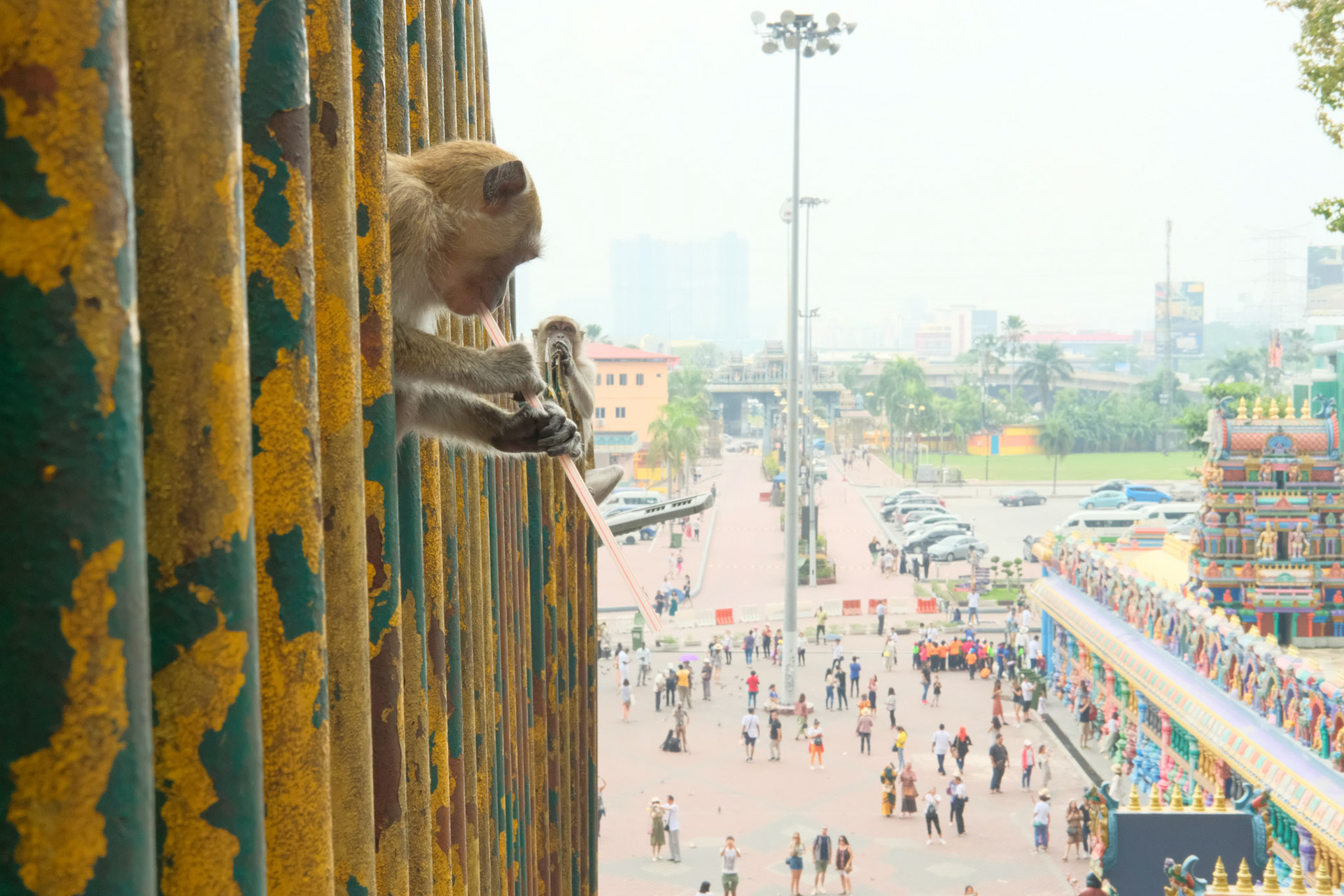 ©yasobrowne Their home