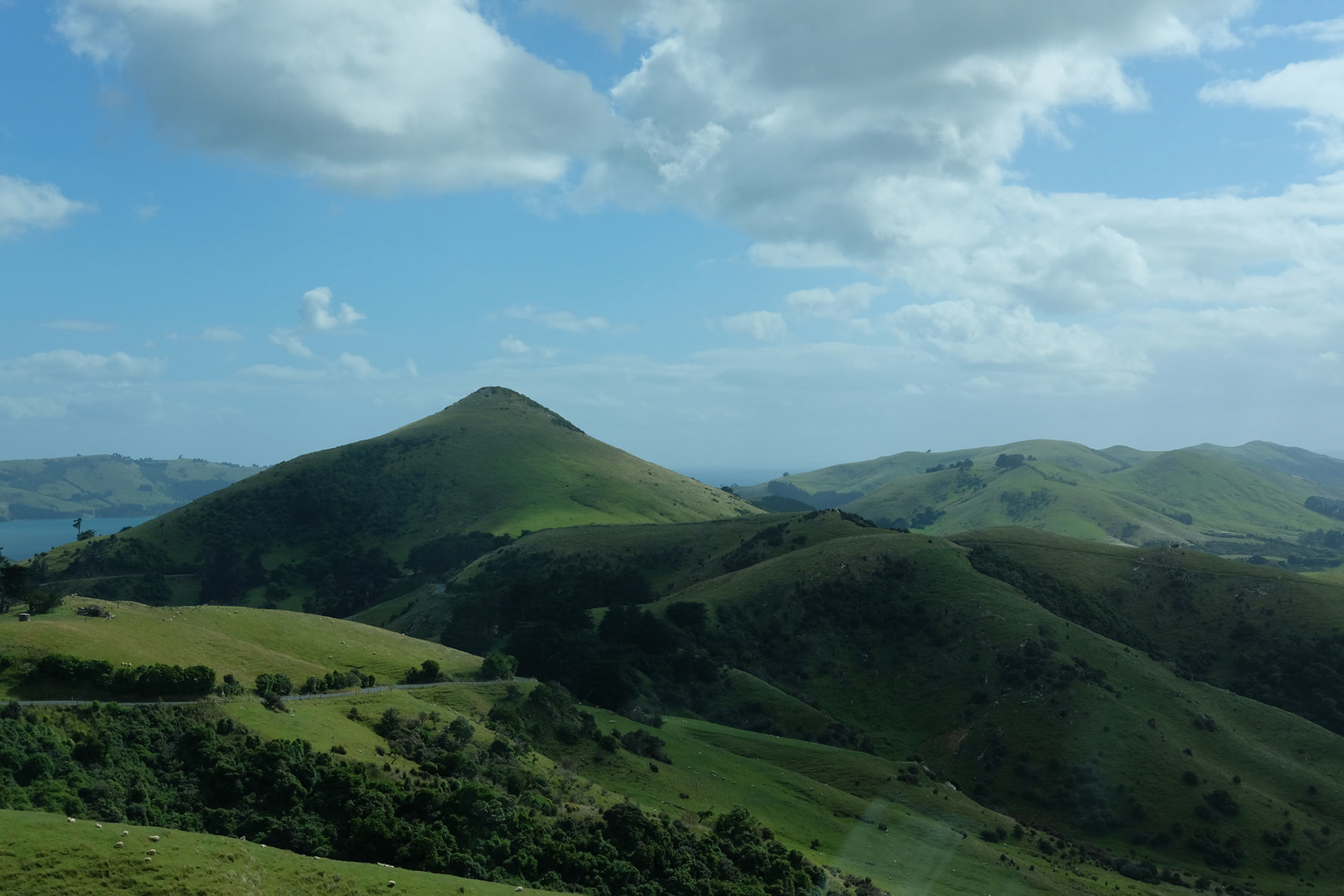©yasobrowne New Zealand landscape 