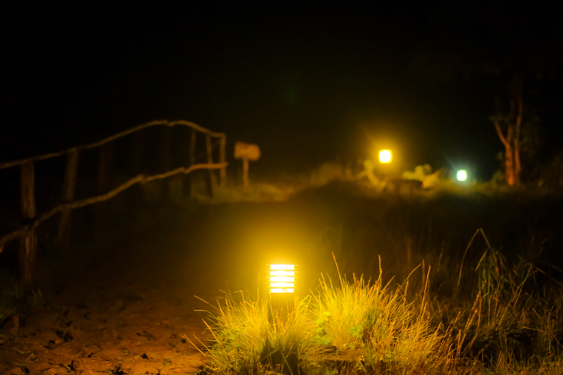 ©yasobrowne enough light to navigate the darkness