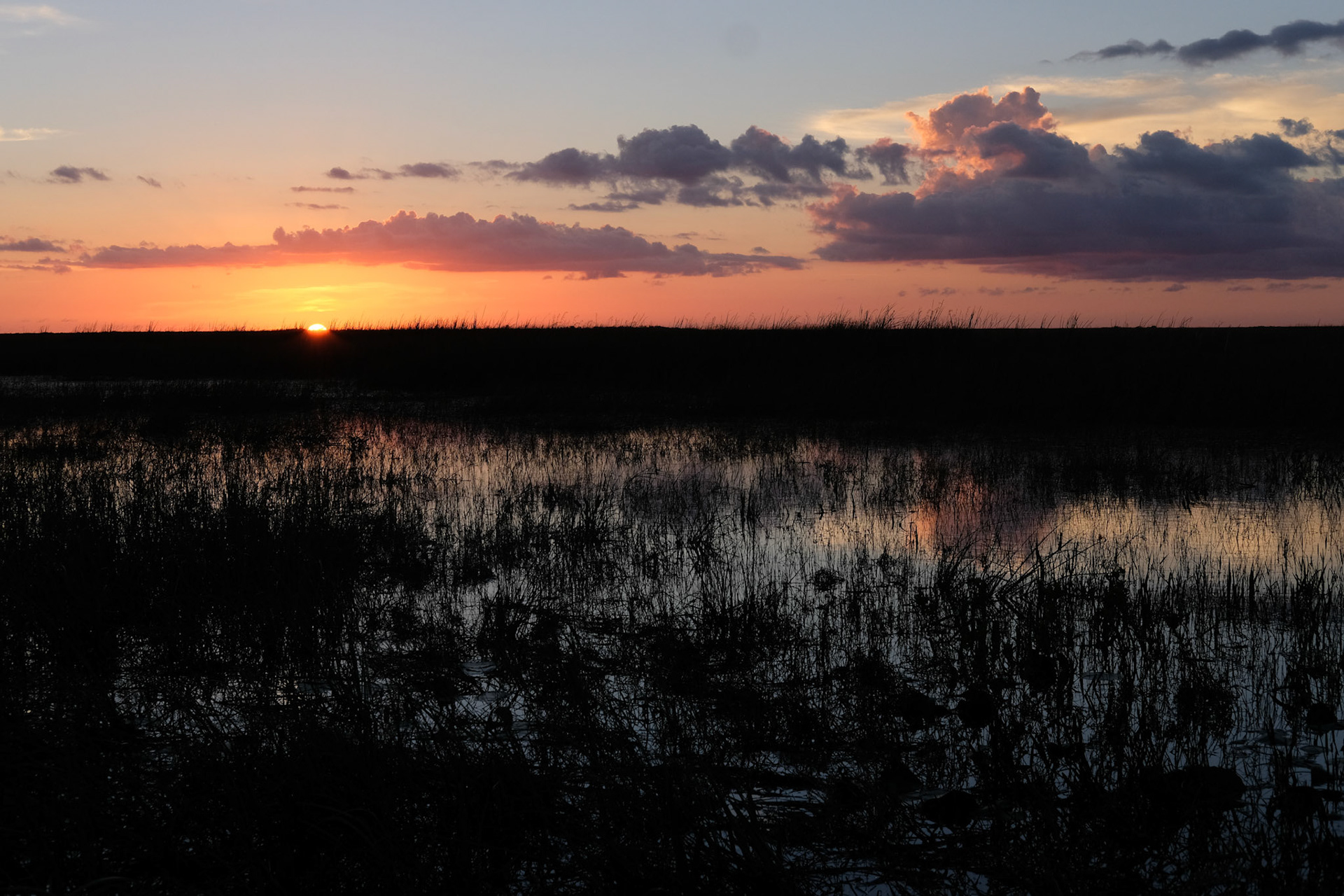 ©yasobrowne everglades