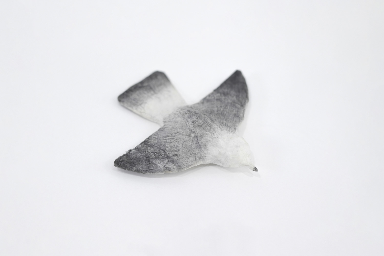 종이괭이갈매기, 11.5x12.5x2cm, 장지에 흑연, 2026