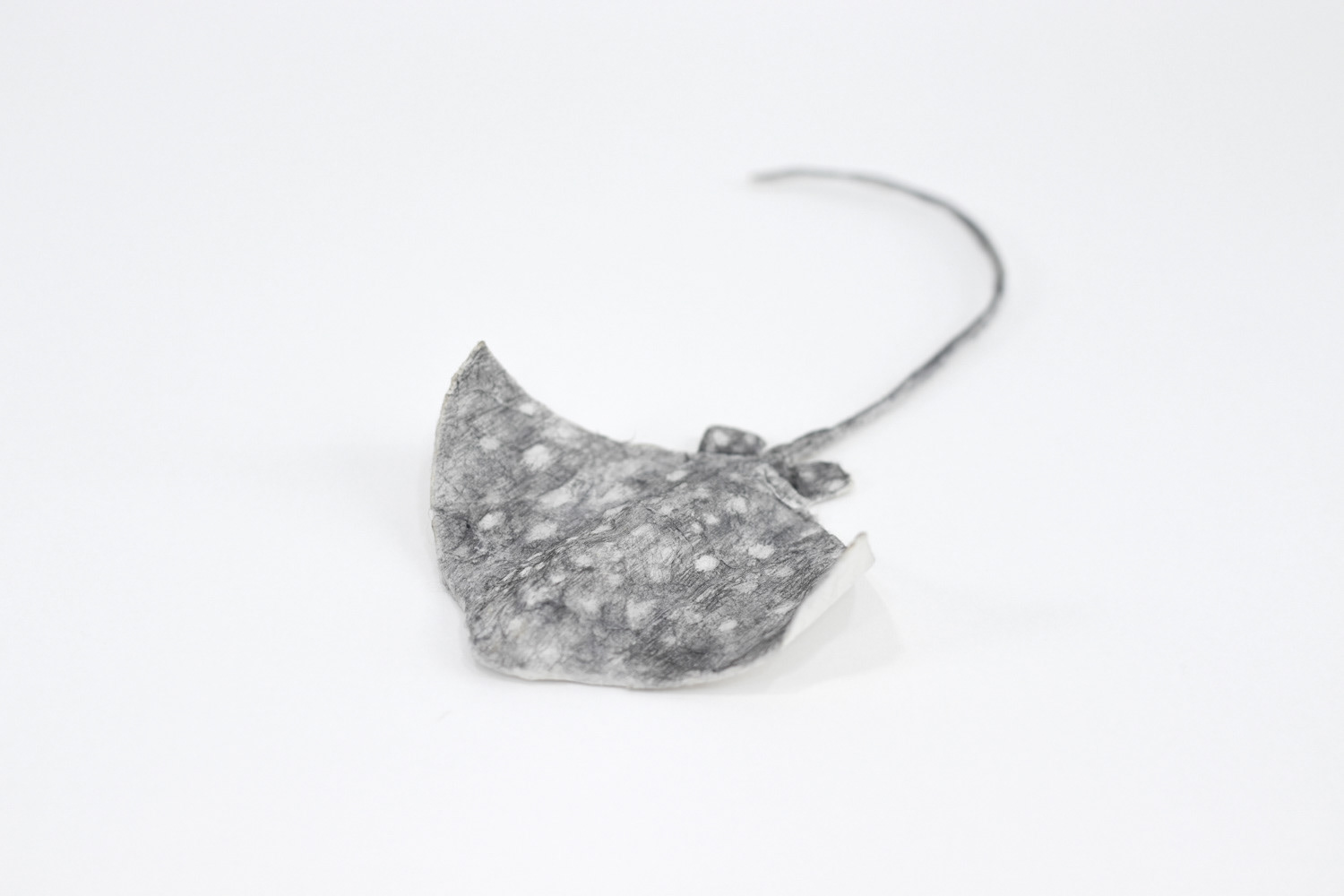 종이얼룩매가오리, 21.5x11x3cm, 장지에 흑연, 2026
