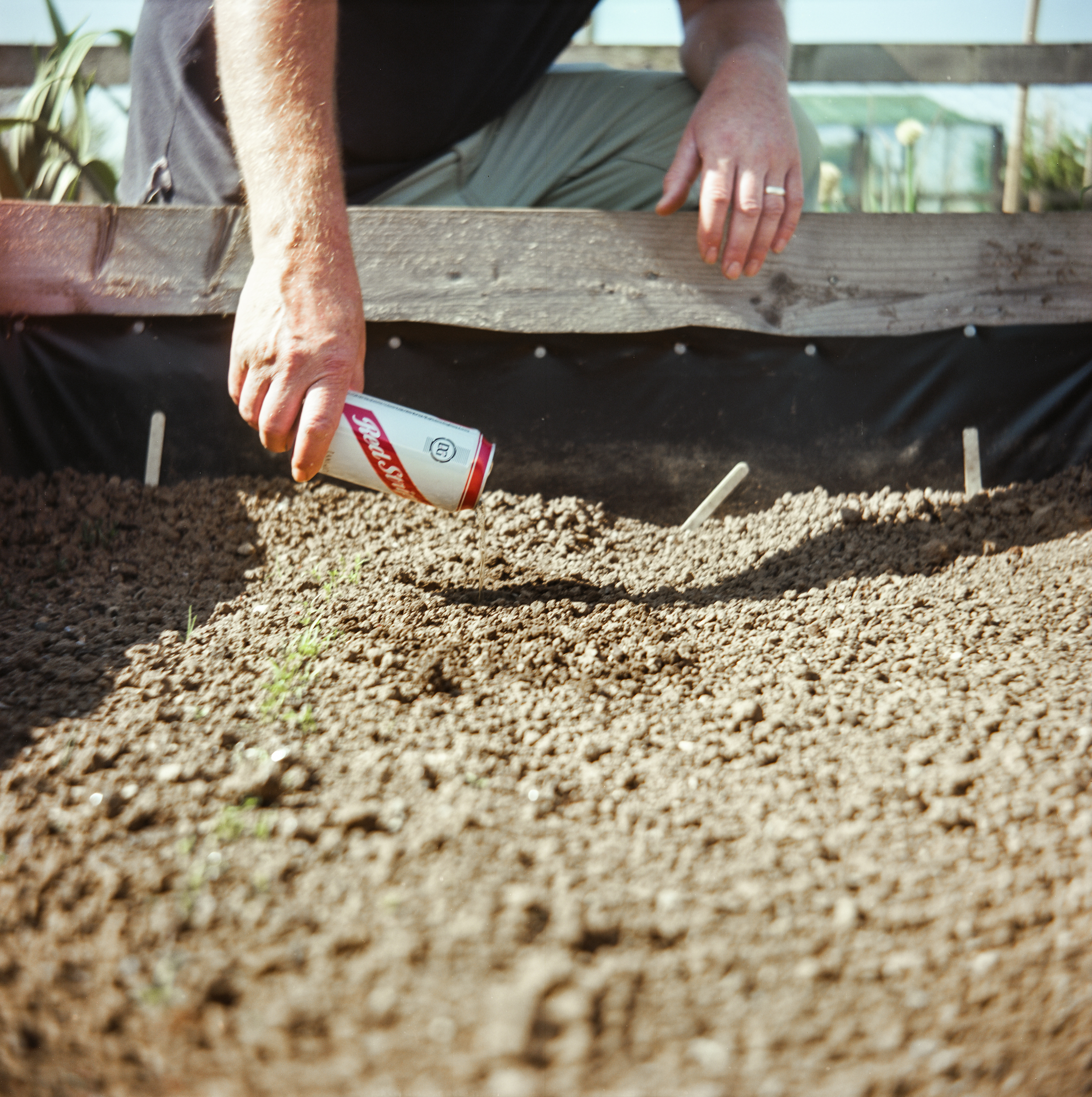 6. Any excuse for a beer! (Even if its just filling the slug traps)