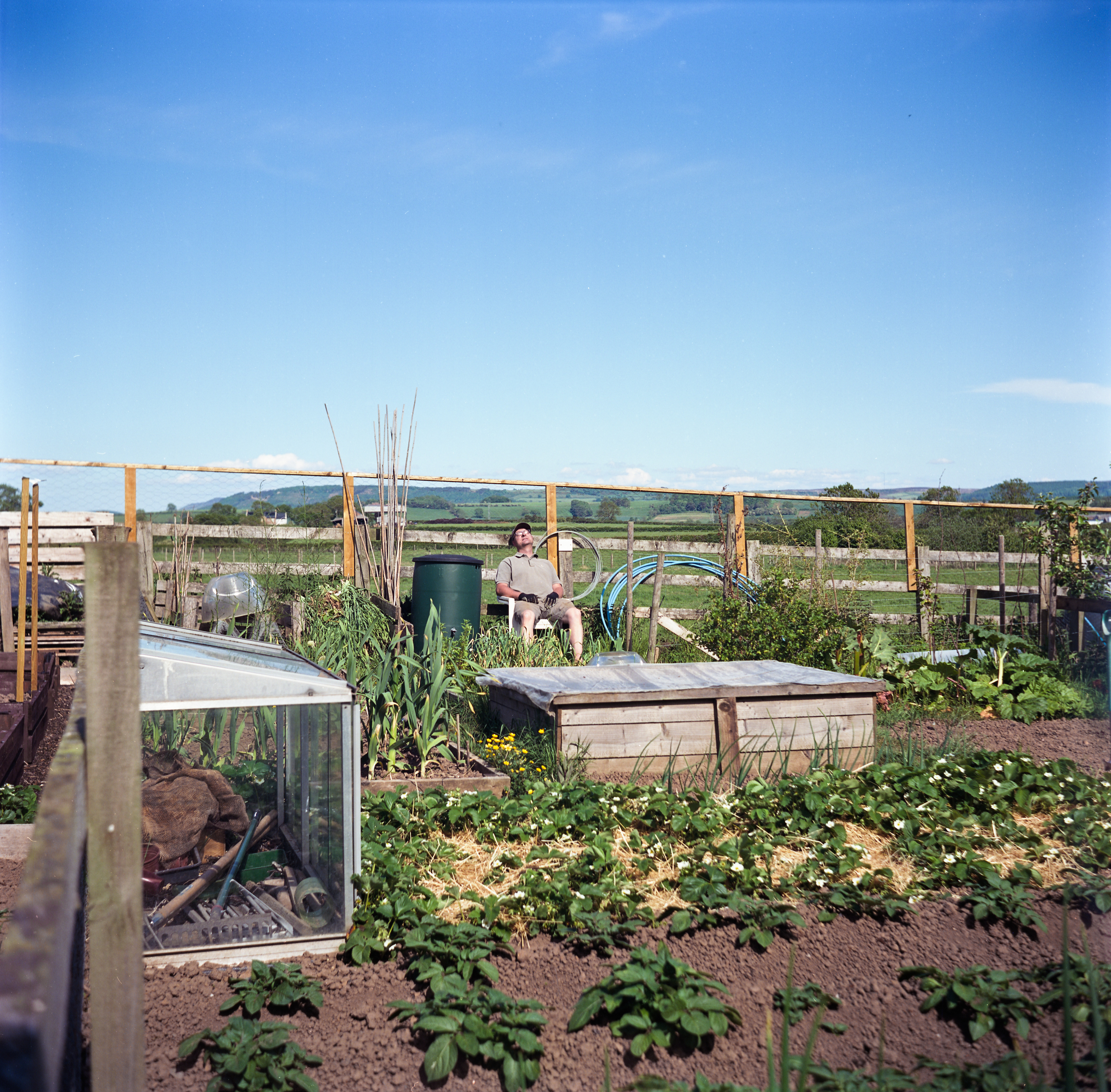 10. dad will always be the first to admit the allotment is a labour of love, so a quick nap in the sun is deserved.
