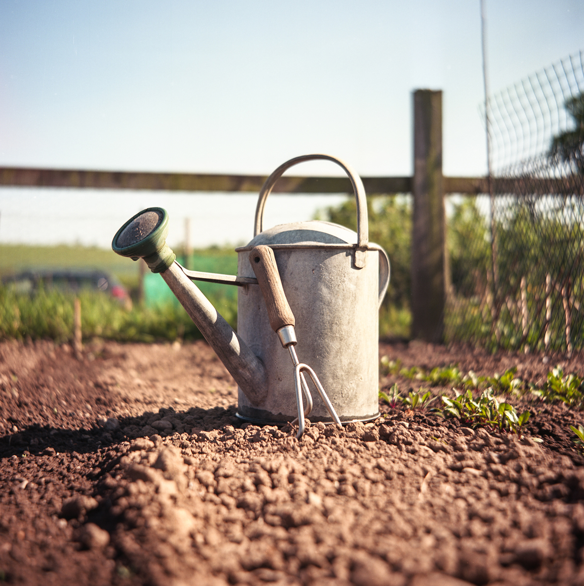 7. there is no need for a wide array of specific tools for gardening, the basic necessities are enough to have a successful veg plot.