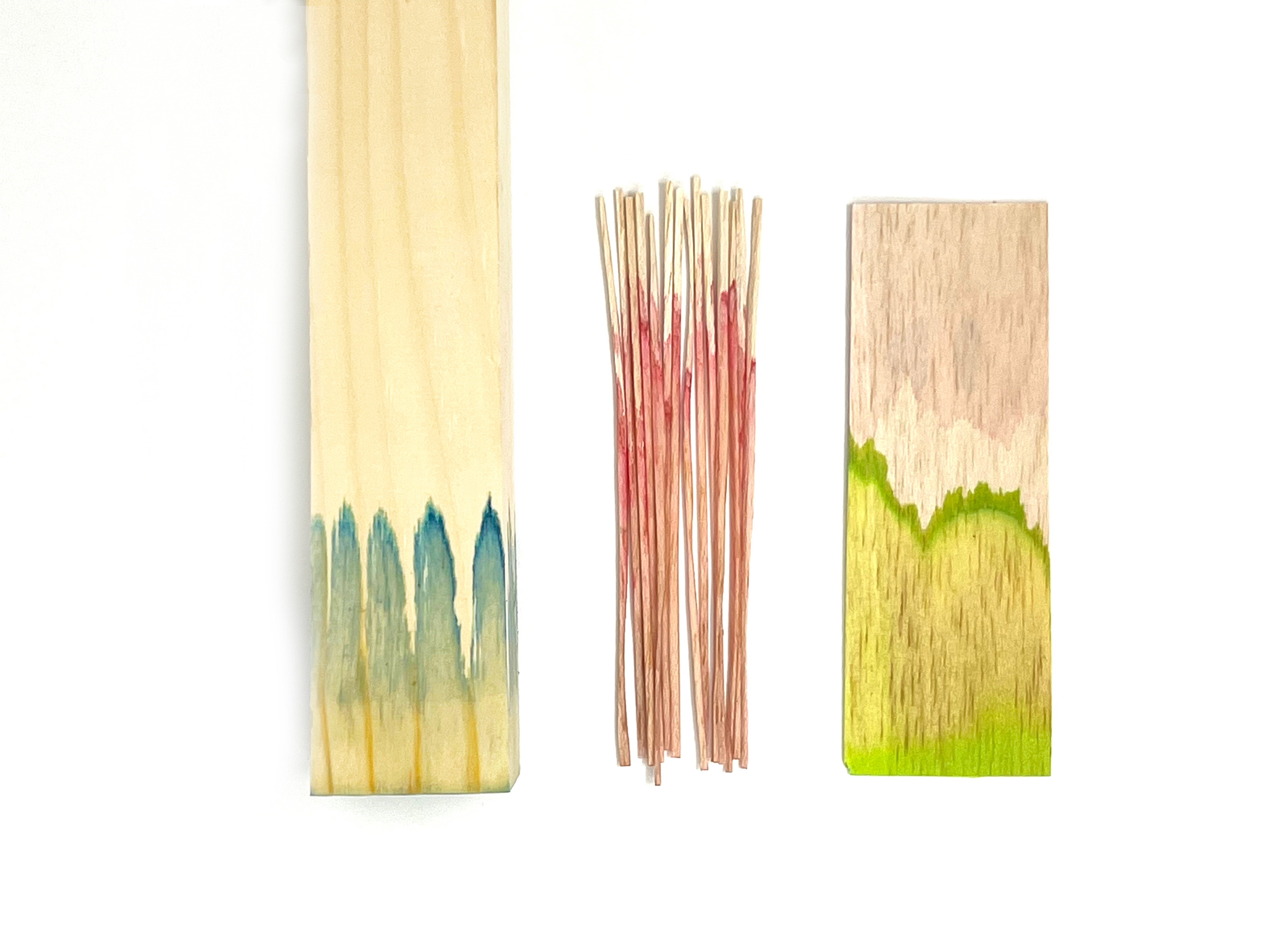 木の吸い上げ模様