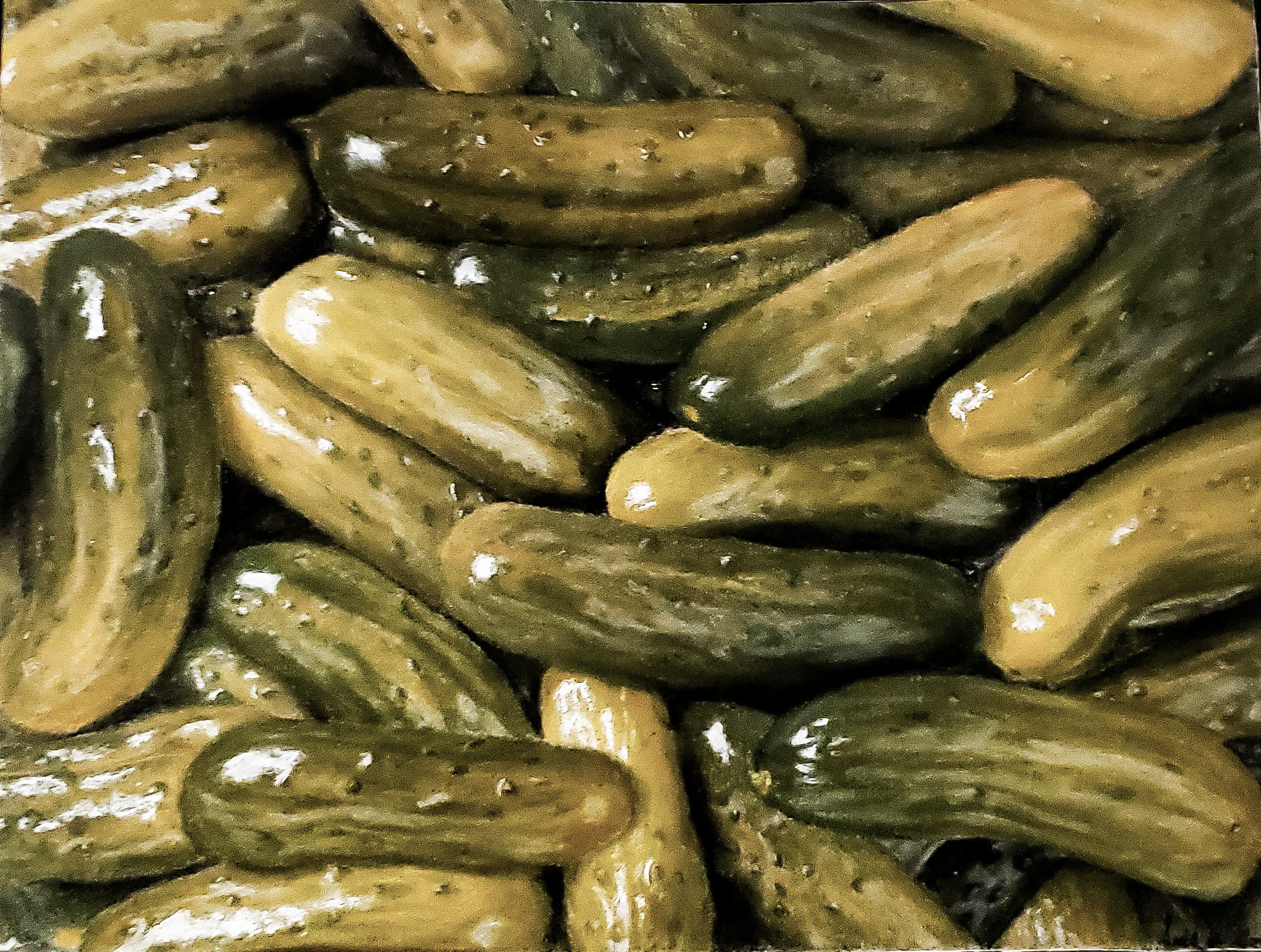 Pickles colored pencil drawing
