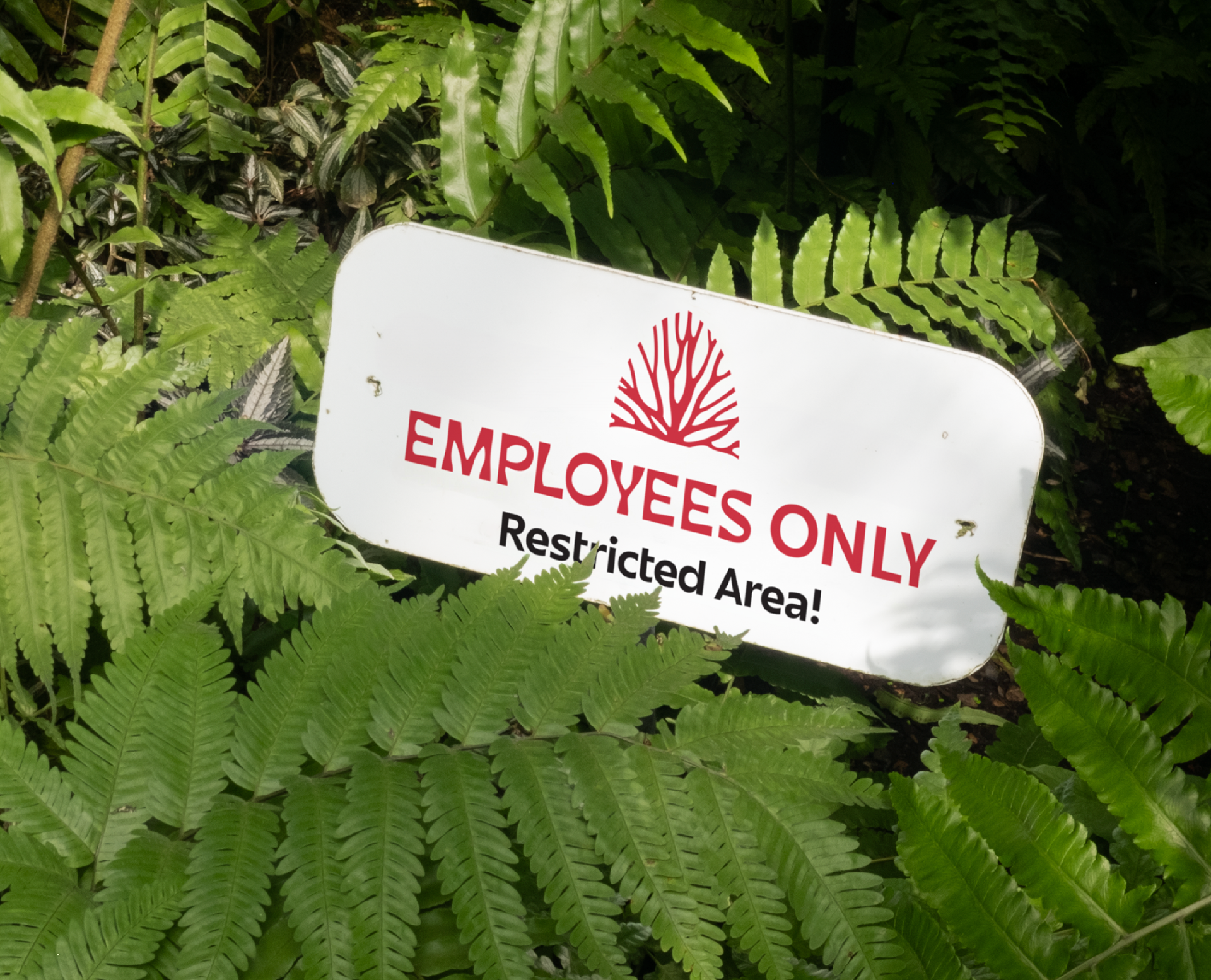 Regulatory sign mockup 1