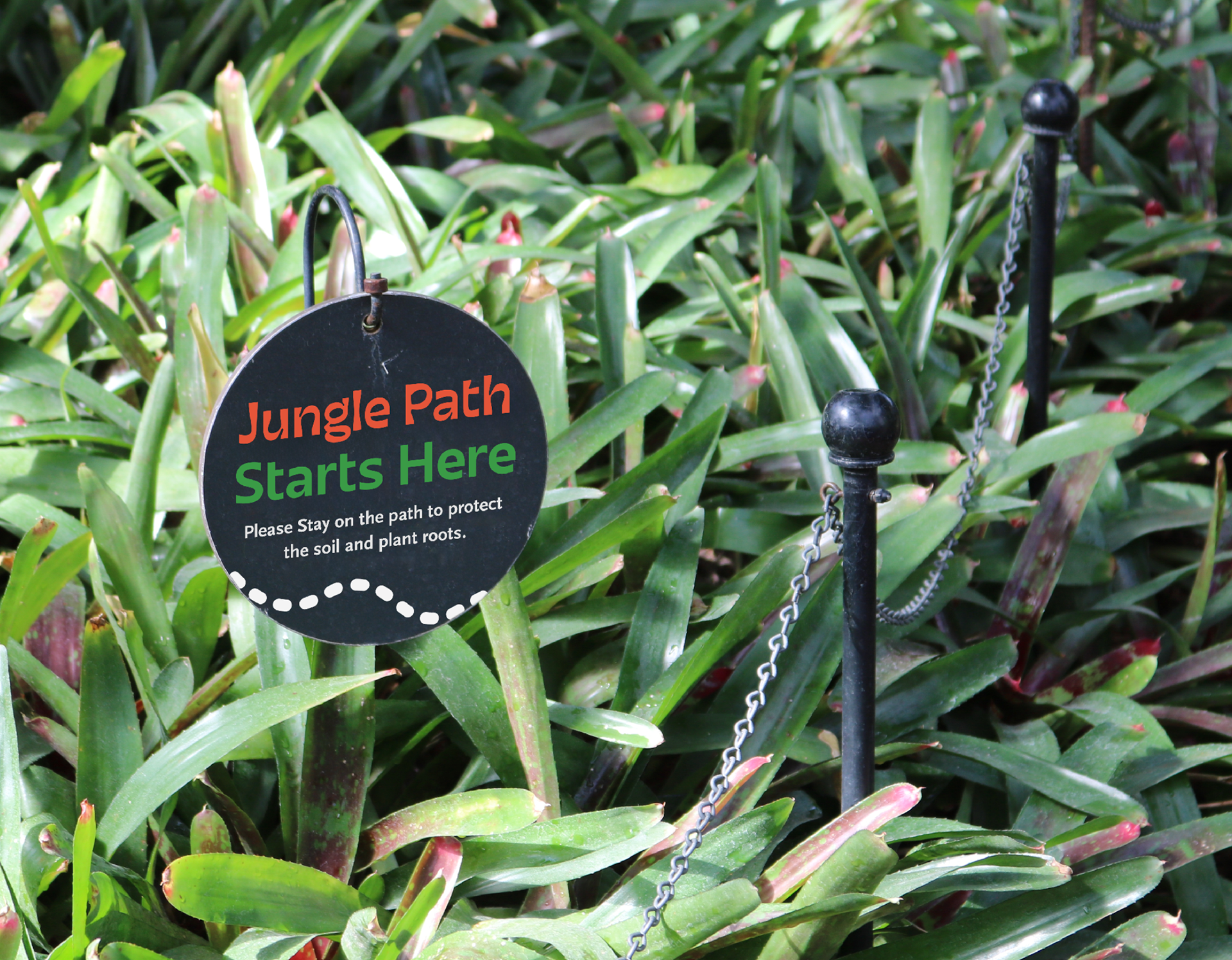 Regulatory sign mockup 2