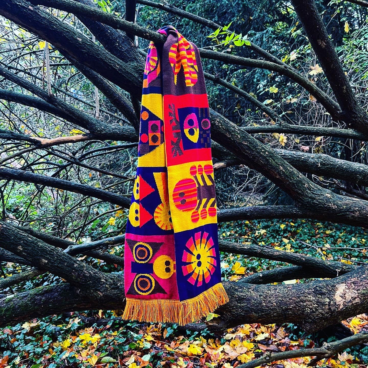 Cosmic Neighbourhood