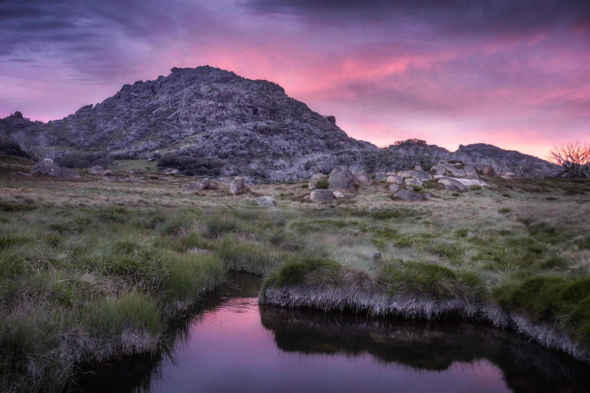 Taken by a little stram that flows throught the Cresta Valley.