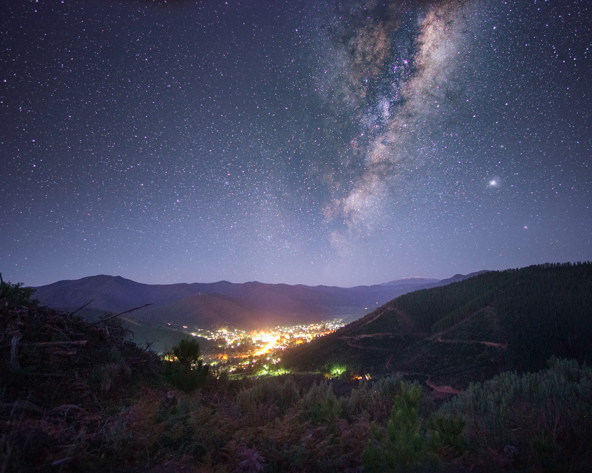 Photo by Brendan Holland