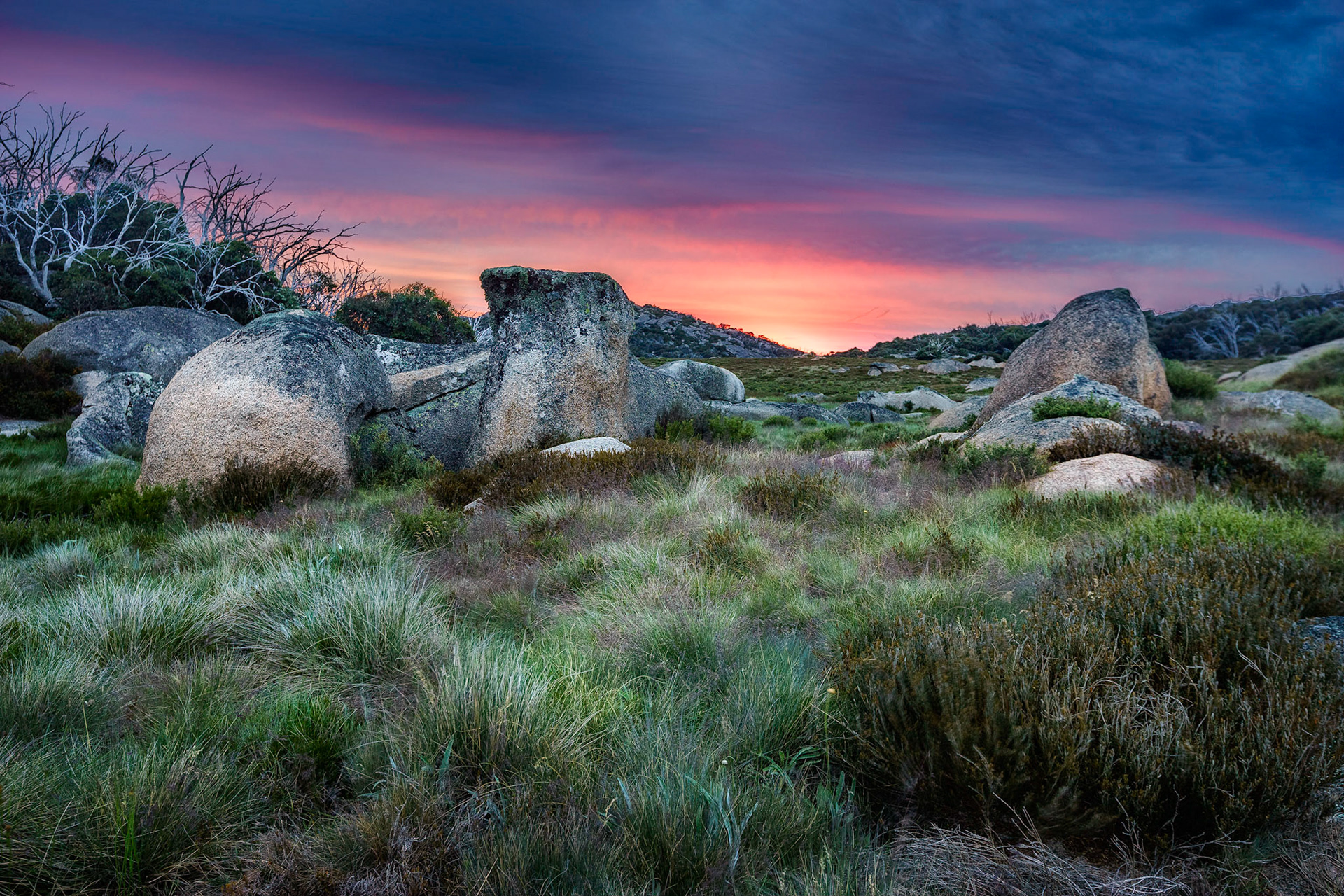 taken along the track out to the Back Wall on Mt Buffalo.