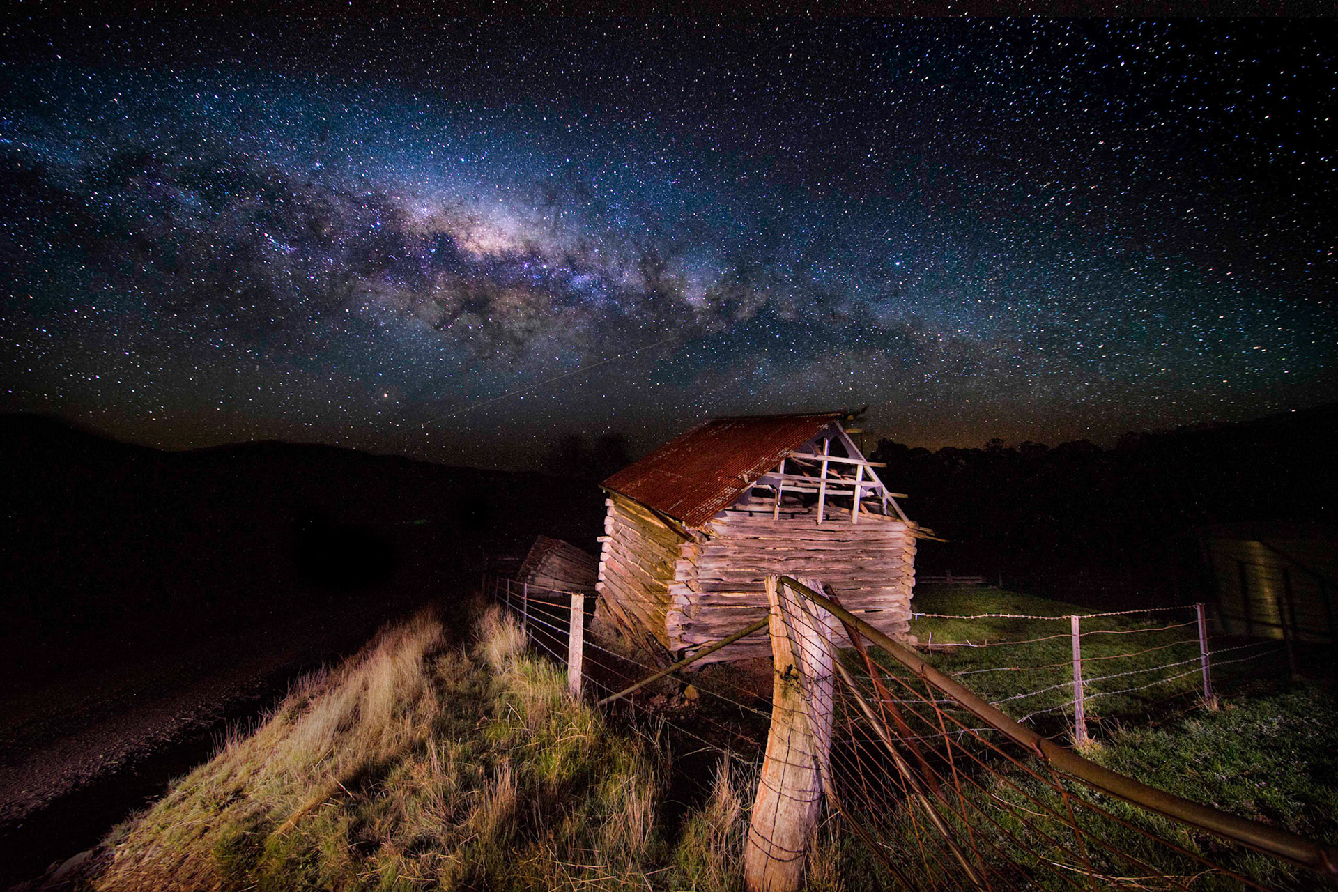 Photo by Brendan Holland