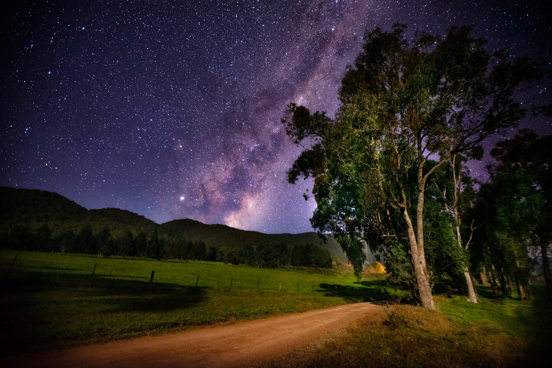 Photo by Brendan Holland