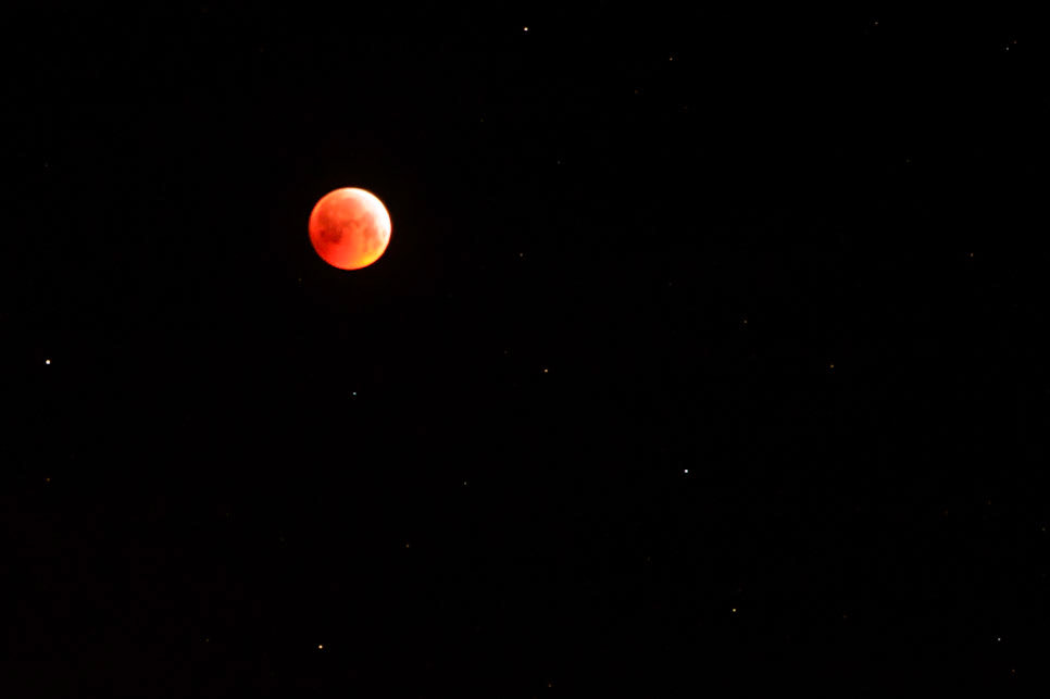 Bloedmaan