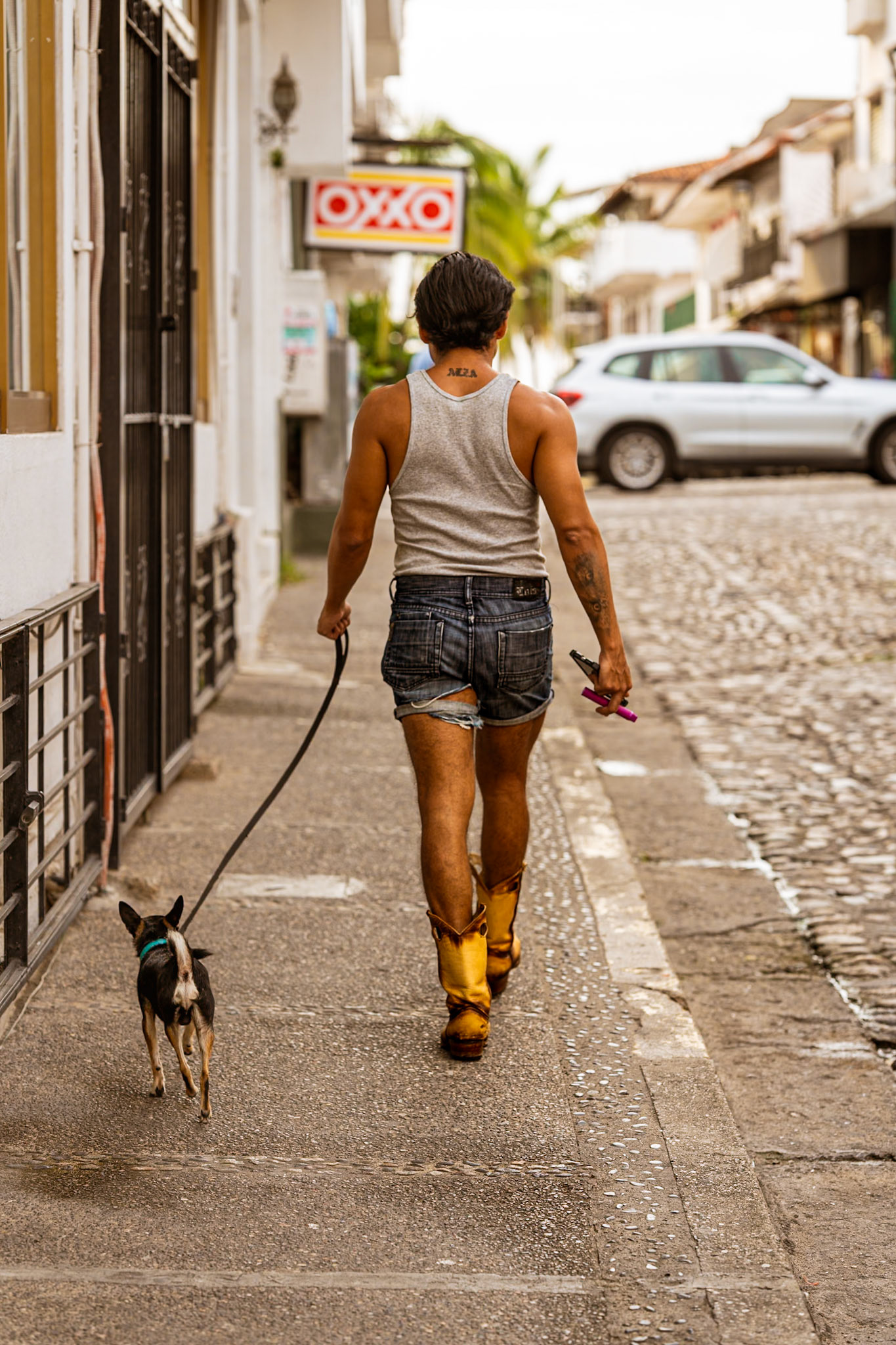 Dog walker