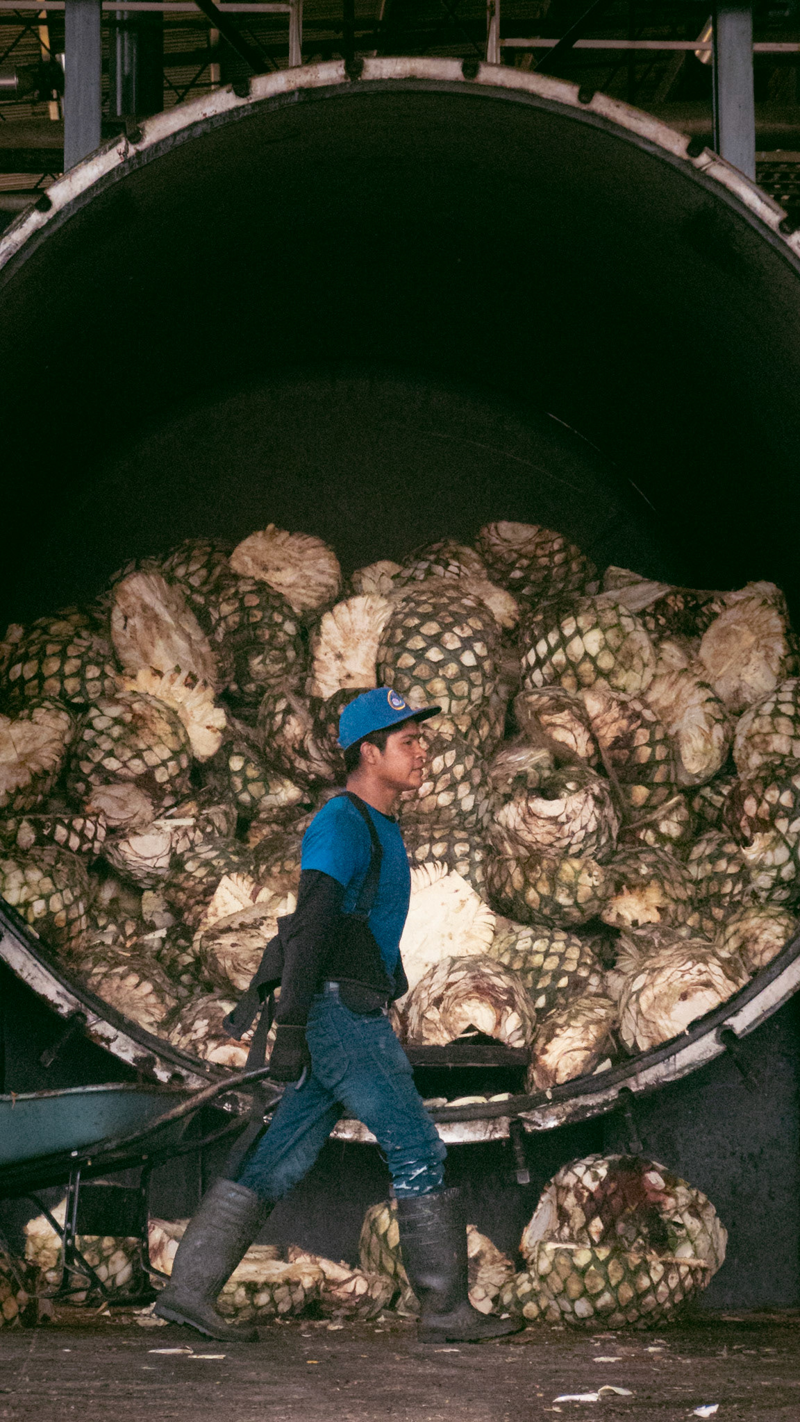 Tequila worker