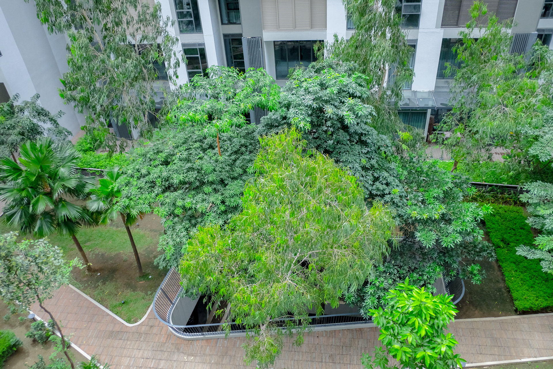 view facing garden