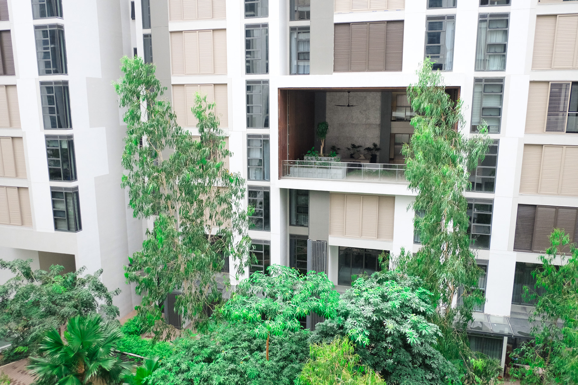 view facing garden