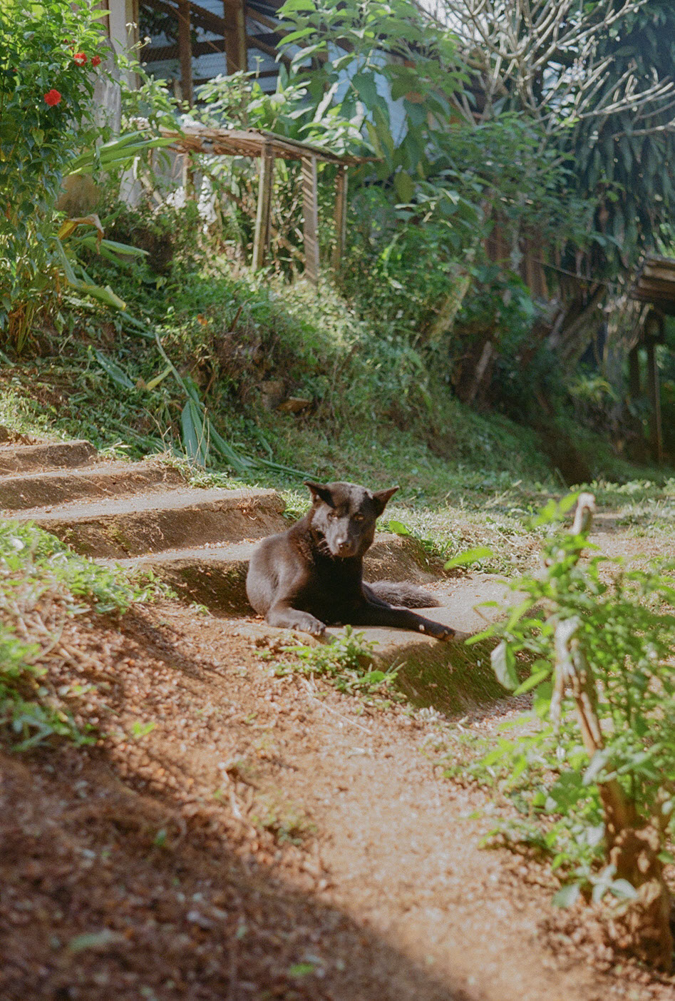 Chiang Mai, 2022