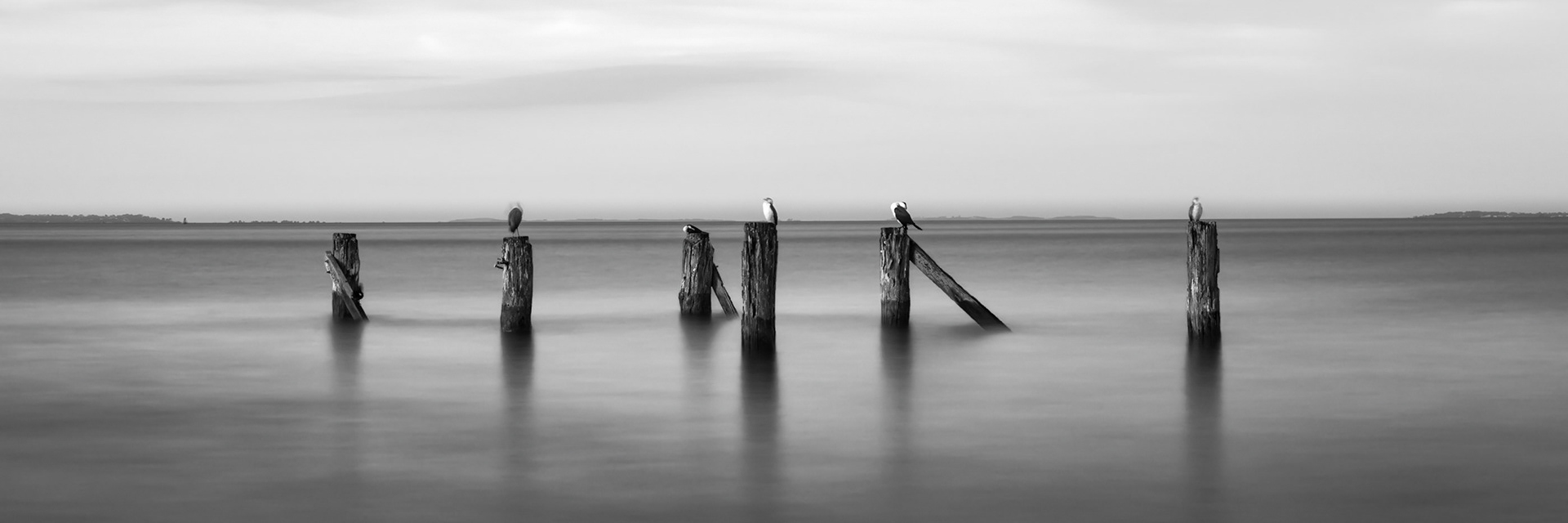 Jetty Remains (wide) - Flinders #1