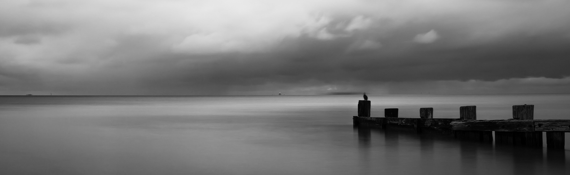 Solitude Groyne - Blairgowrie