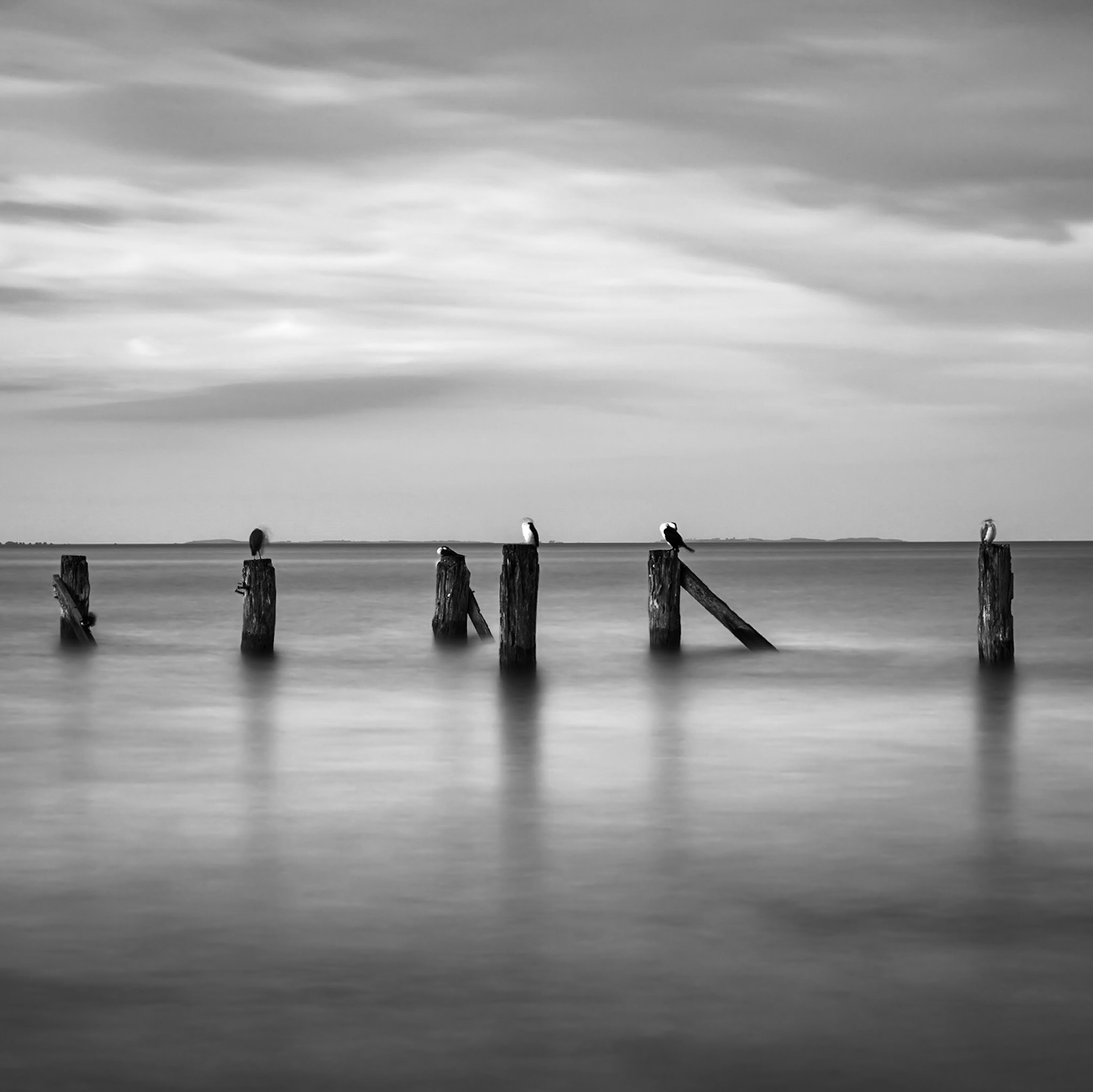 Jetty Remains (square) - Flinders