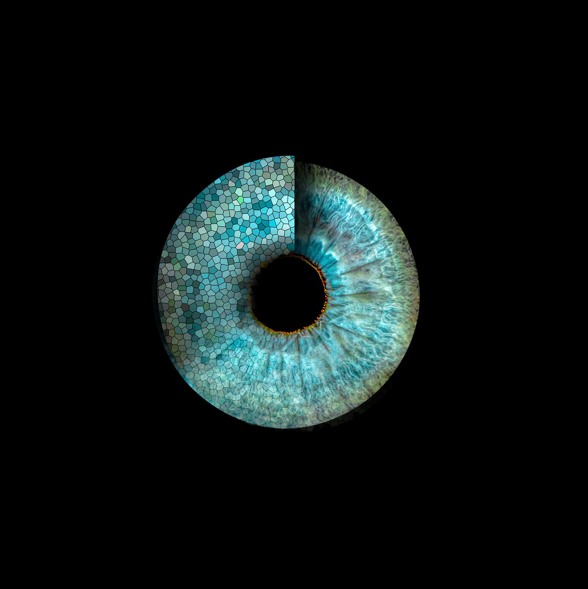 Mosaic