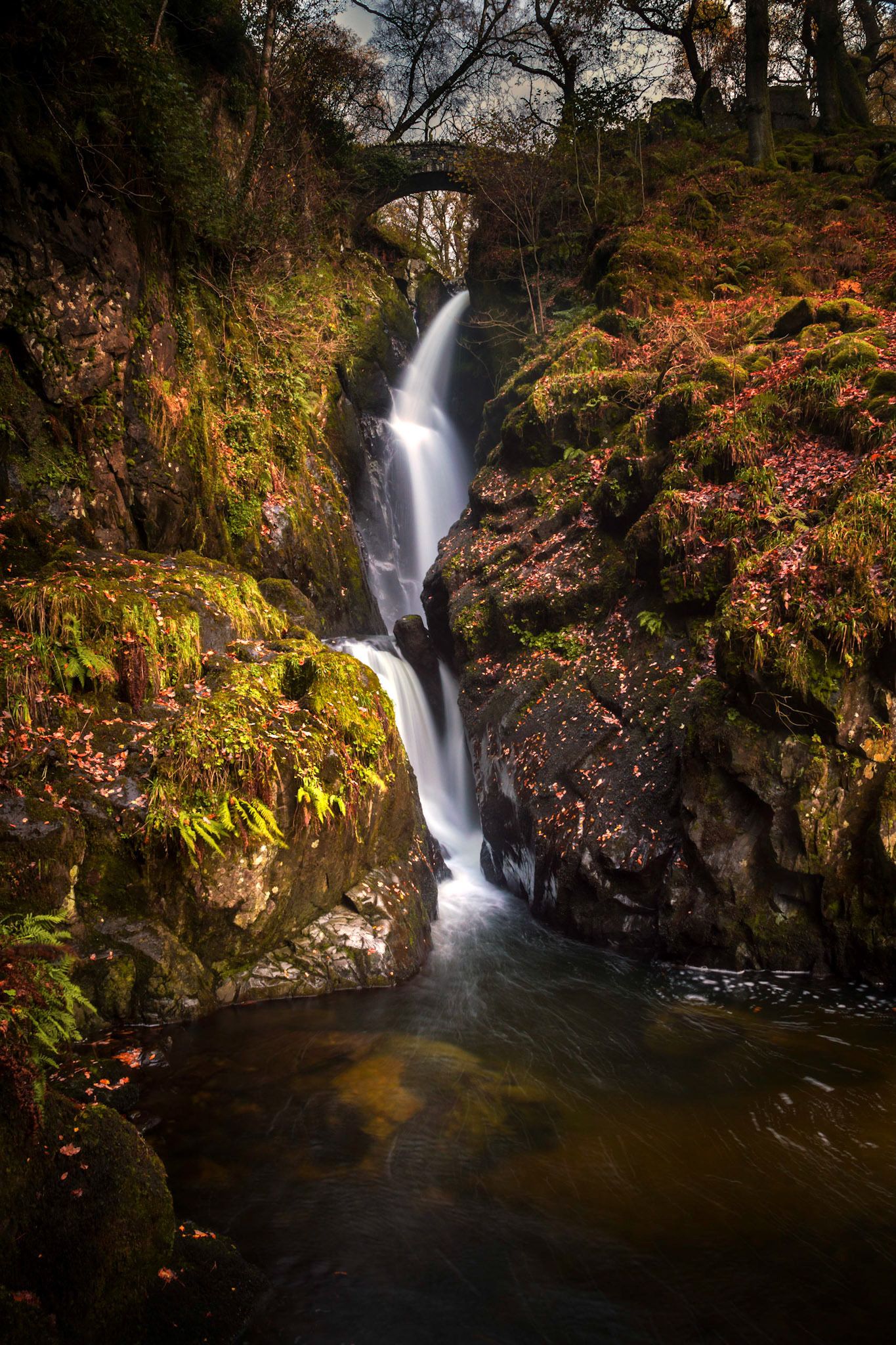 Aira Force