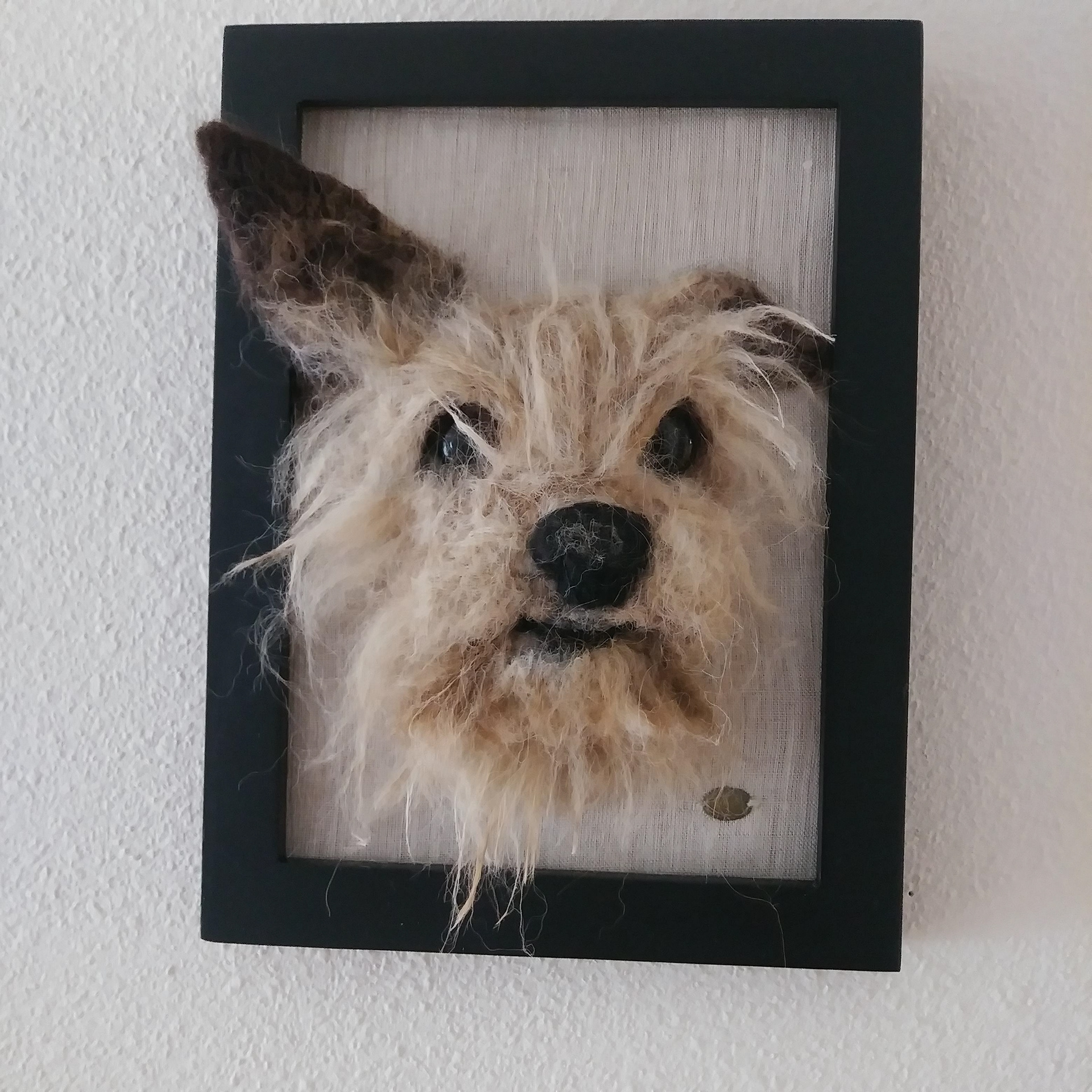 One of my first felt portraits. Suri alpaca with hand painted glass eyes.